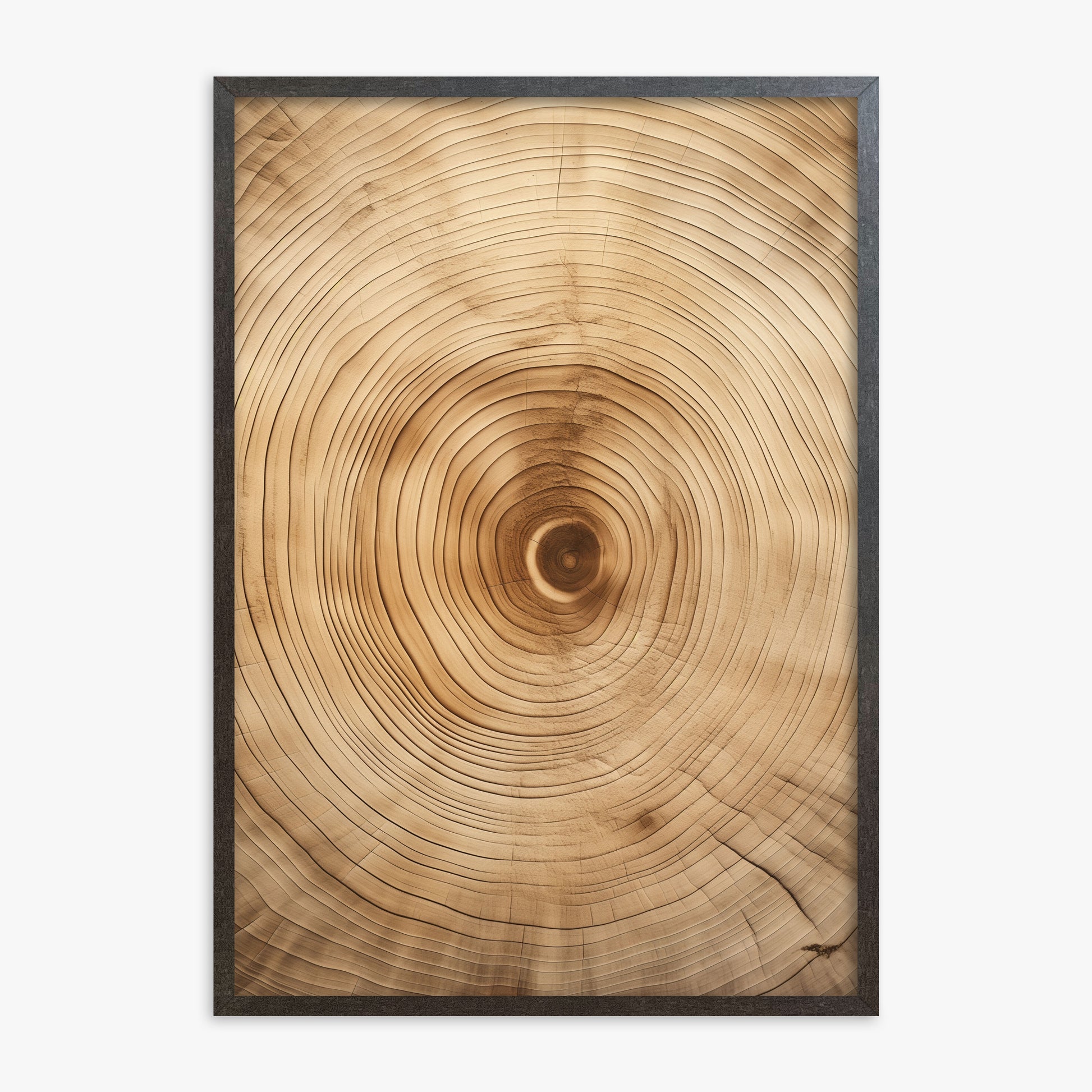 Annular Echo, 70x100cm Framed Poster With Espresso Frame