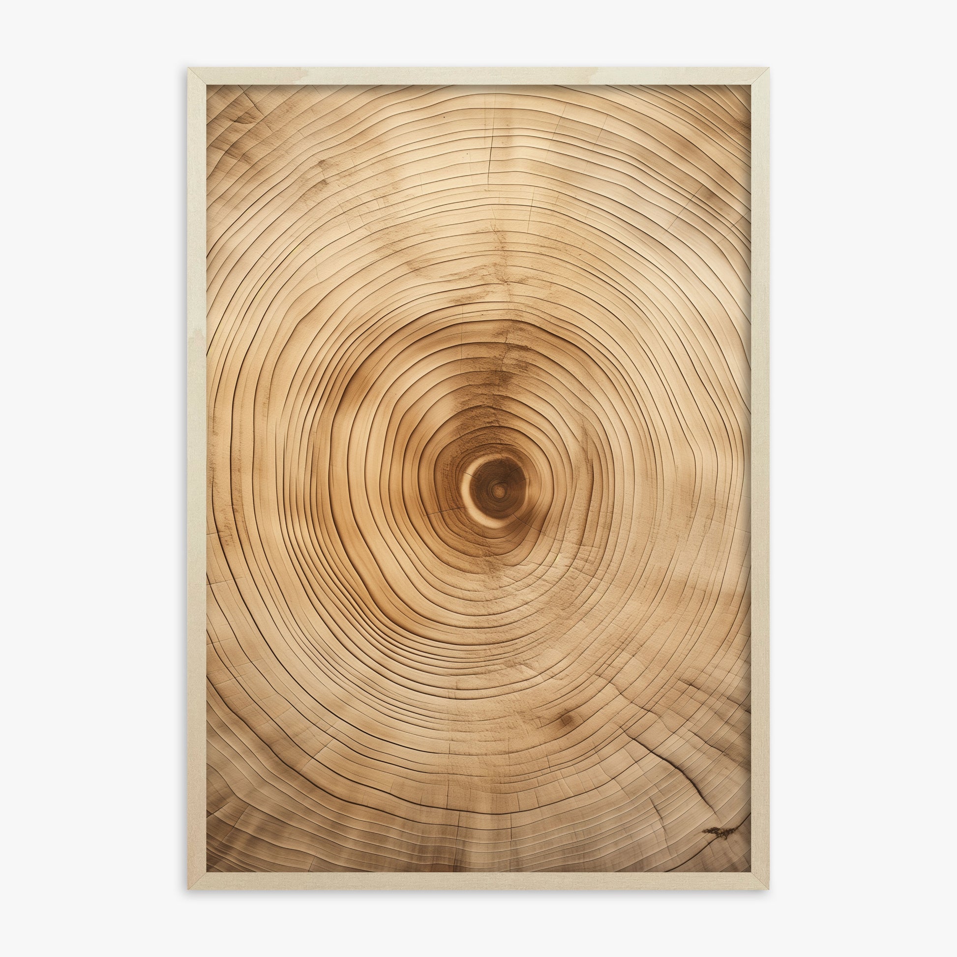 Annular Echo, 70x100cm Framed Poster With Lime Wood Frame