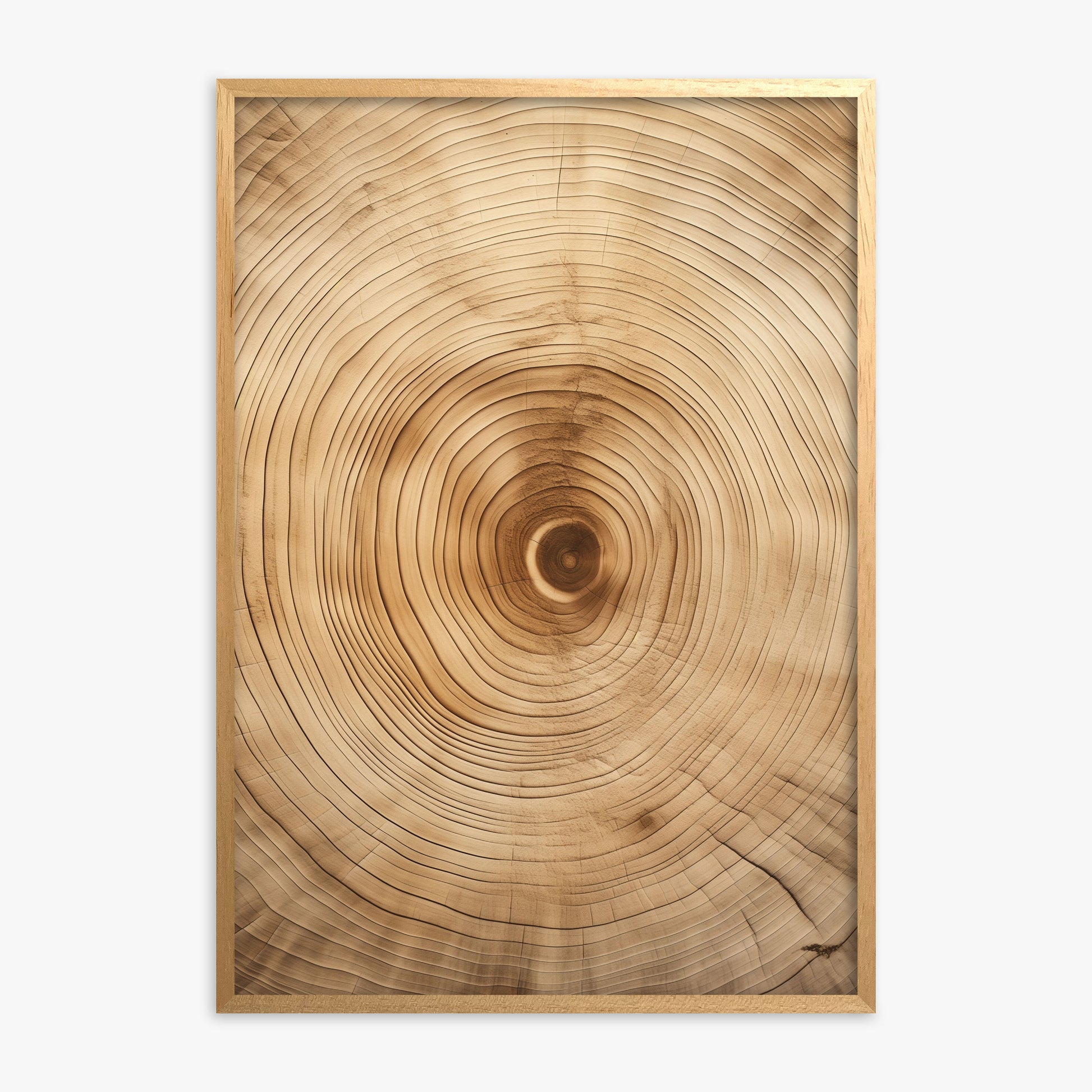Annular Echo, Oak Framed Poster With Oak Frame