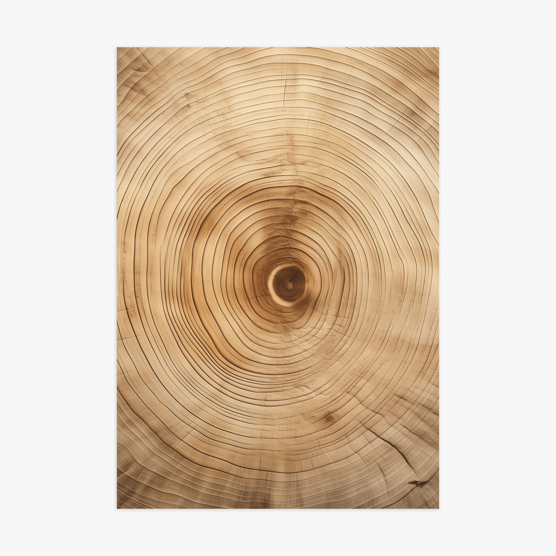 Annular Echo, 70x100cm Poster Unframed