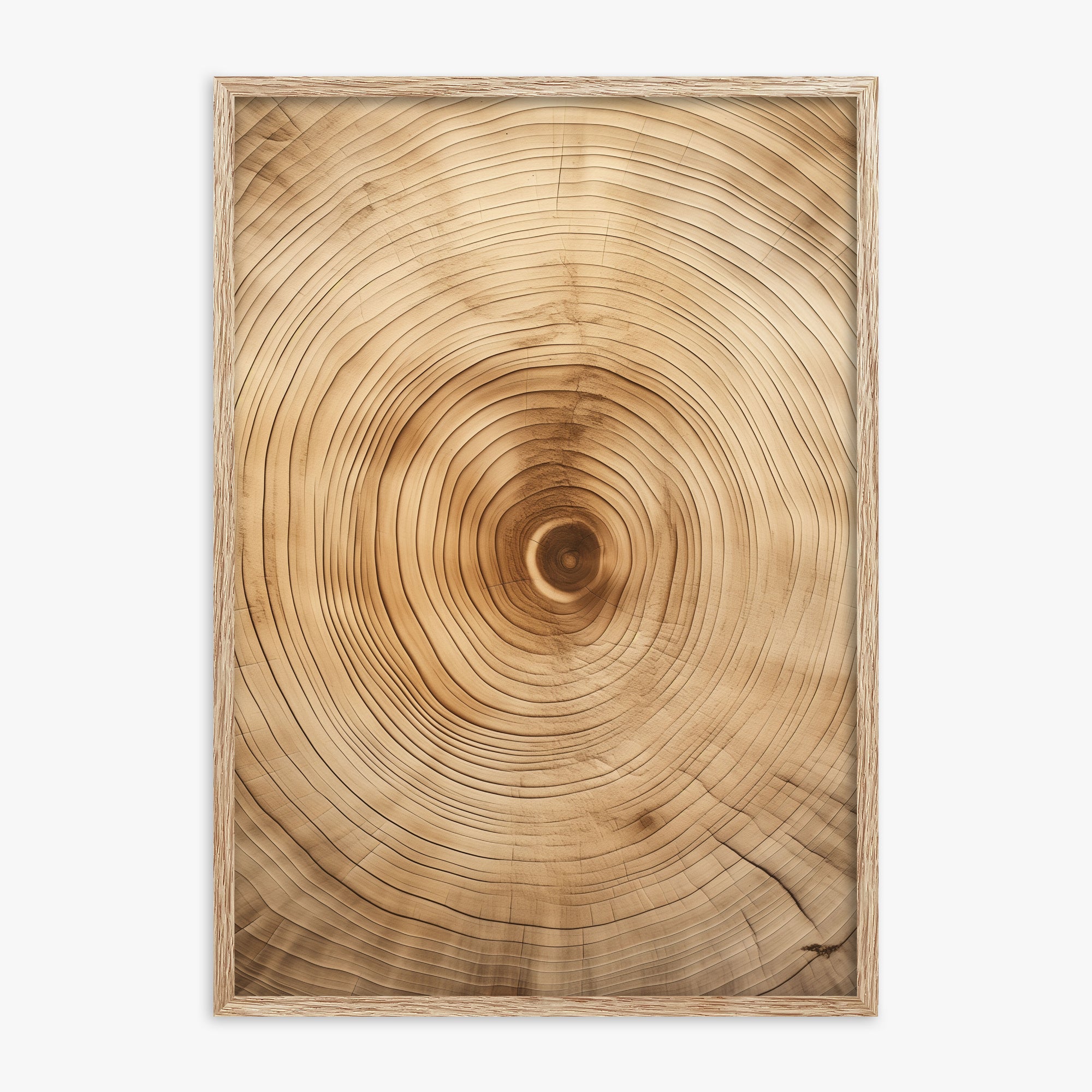 Annular Echo, 70x100cm Framed Poster With Raw Oak Frame