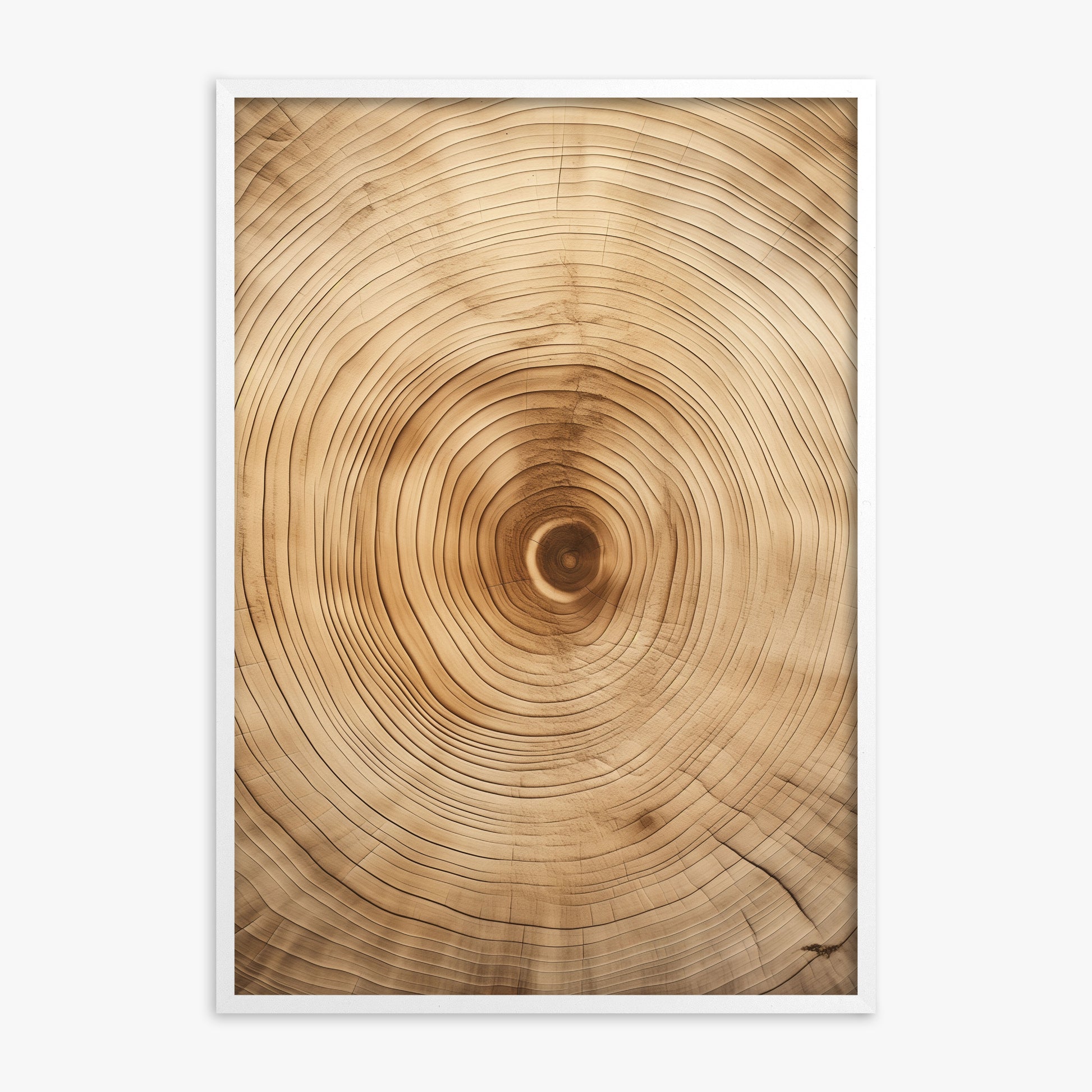Annular Echo, White Framed Poster With White Frame