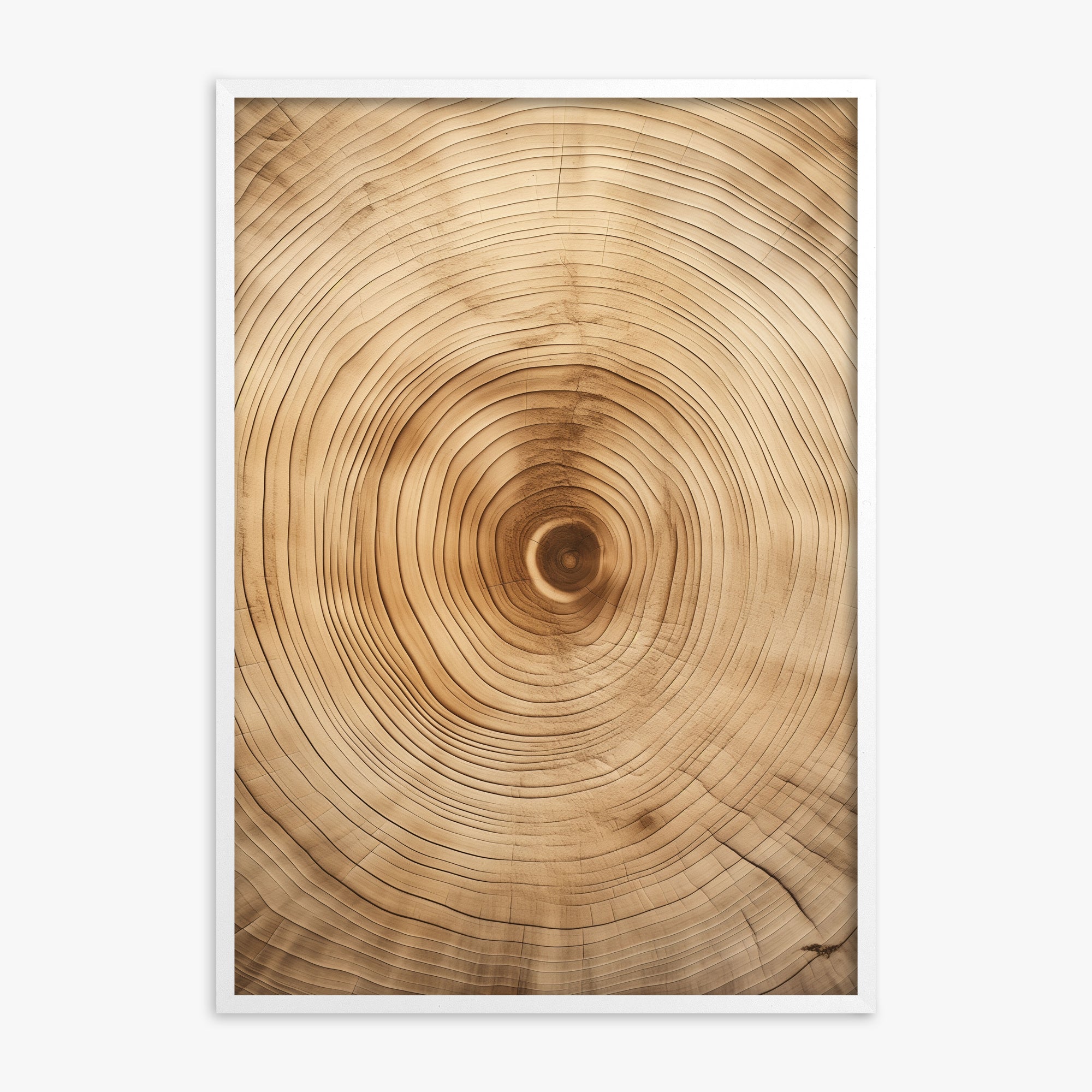 Annular Echo, White Framed Poster With White Frame