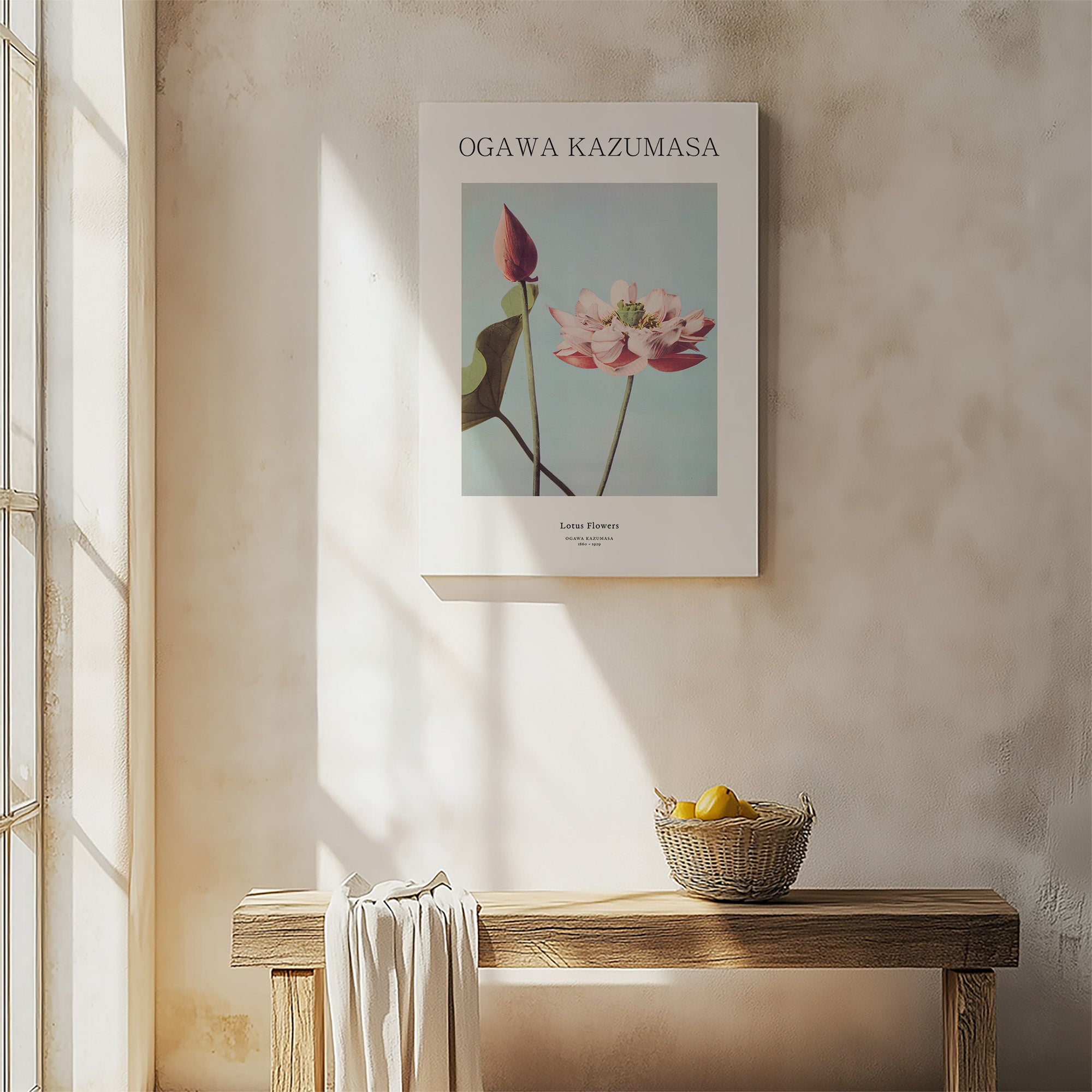 Lotus Flowers - Gallery-style