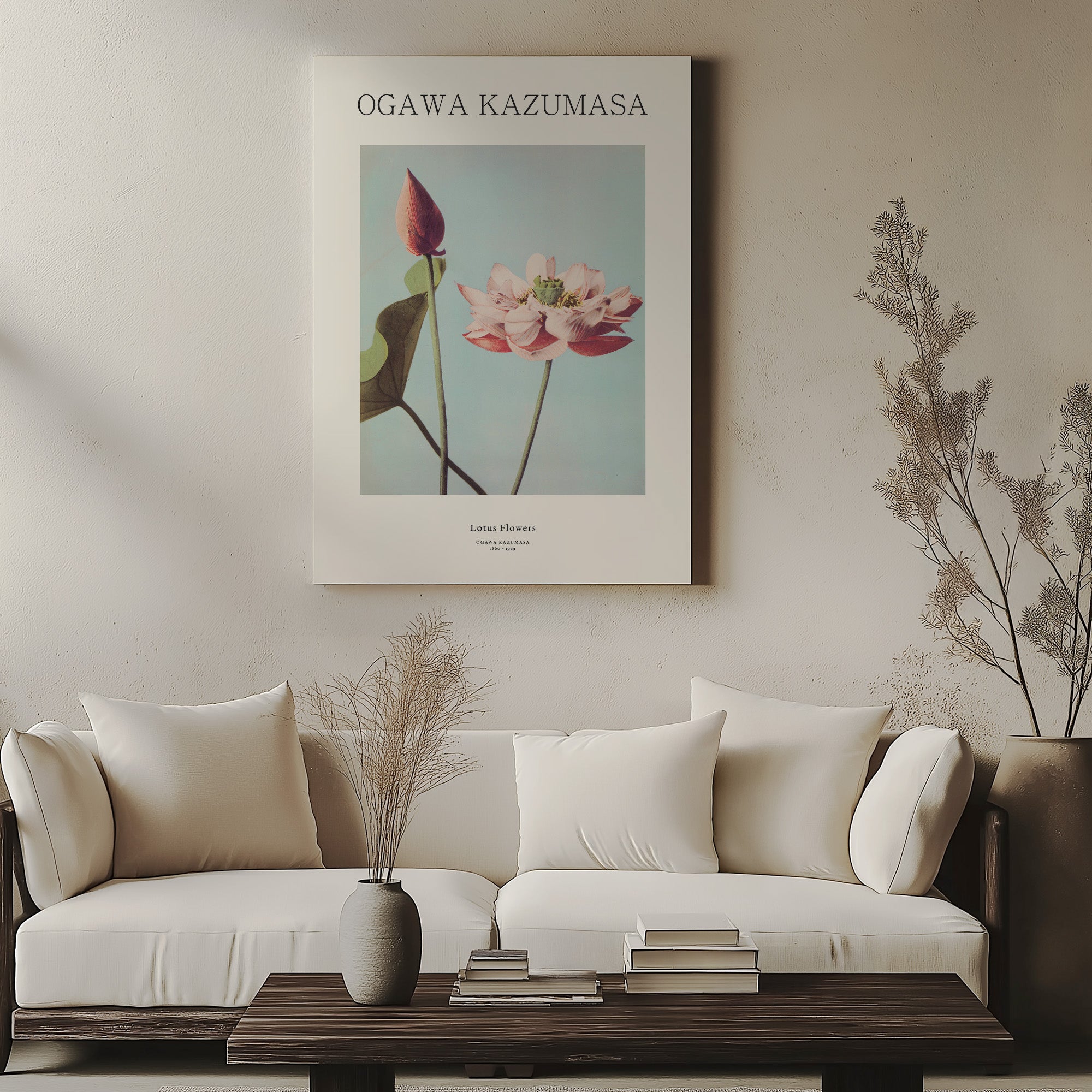 Lotus Flowers - Gallery-style