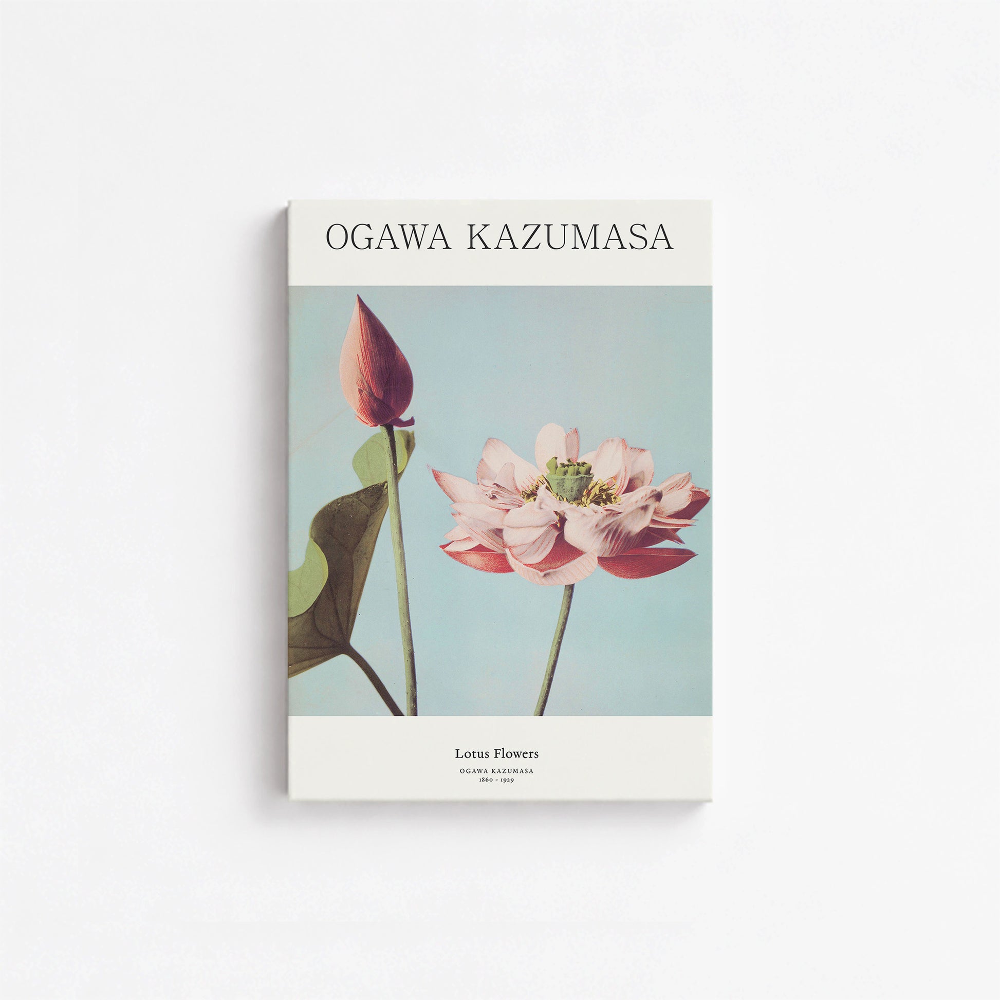 Ogawa Kazumasa: Lotus Flowers - Japandi, 21x30cm Satin Canvas Art Reproduction