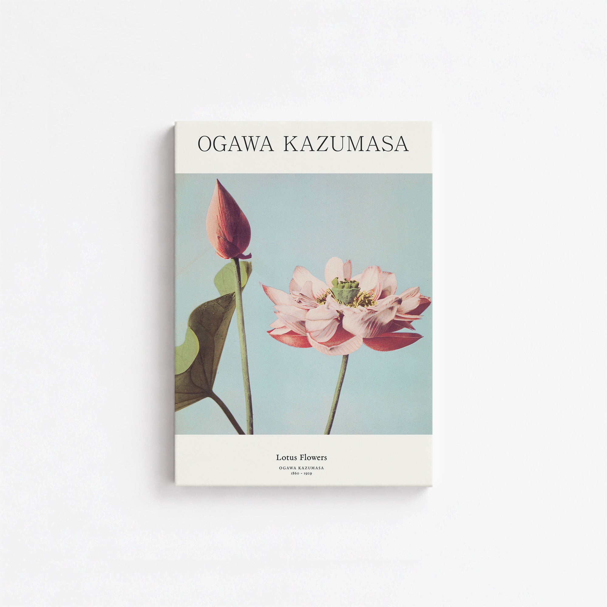 Ogawa Kazumasa: Lotus Flowers - Japandi, 21x30cm Satin Canvas Art Reproduction