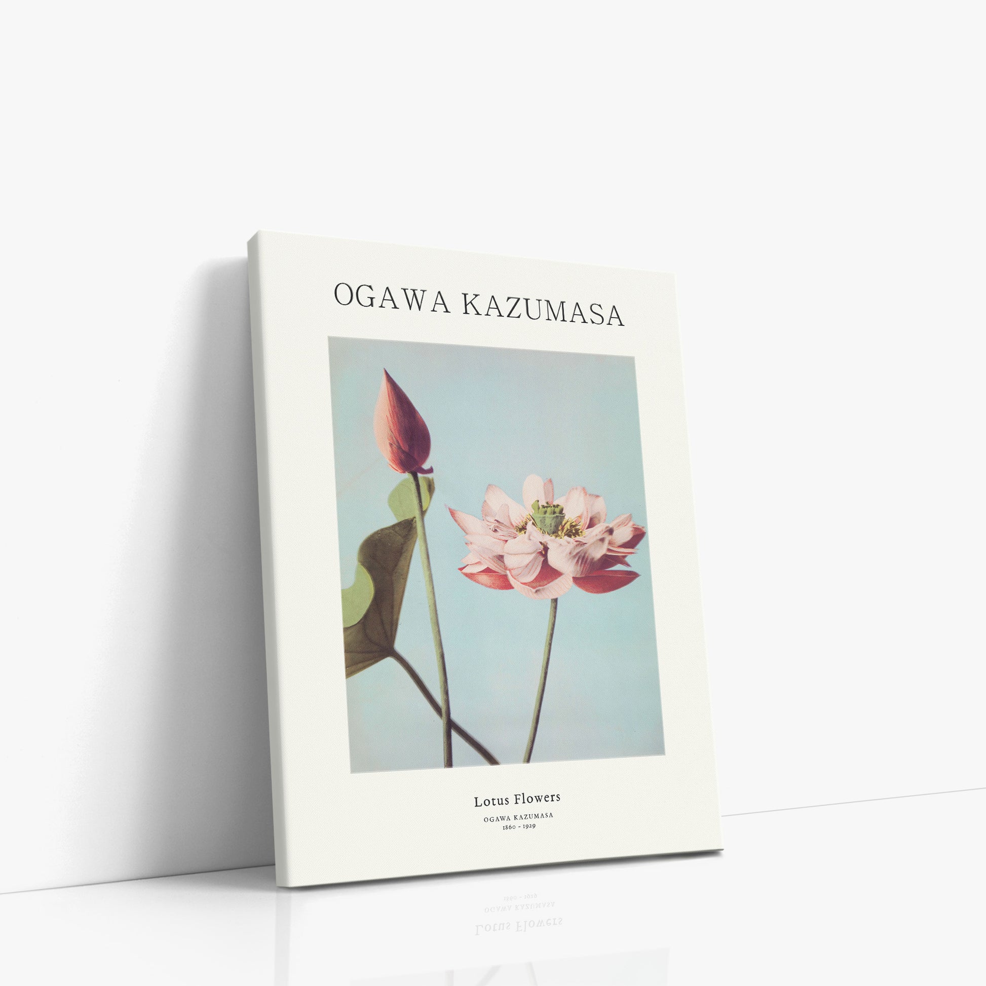 Ogawa Kazumasa: Lotus Flowers - Japandi, 30x40cm Satin Canvas Art Reproduction Left Angle