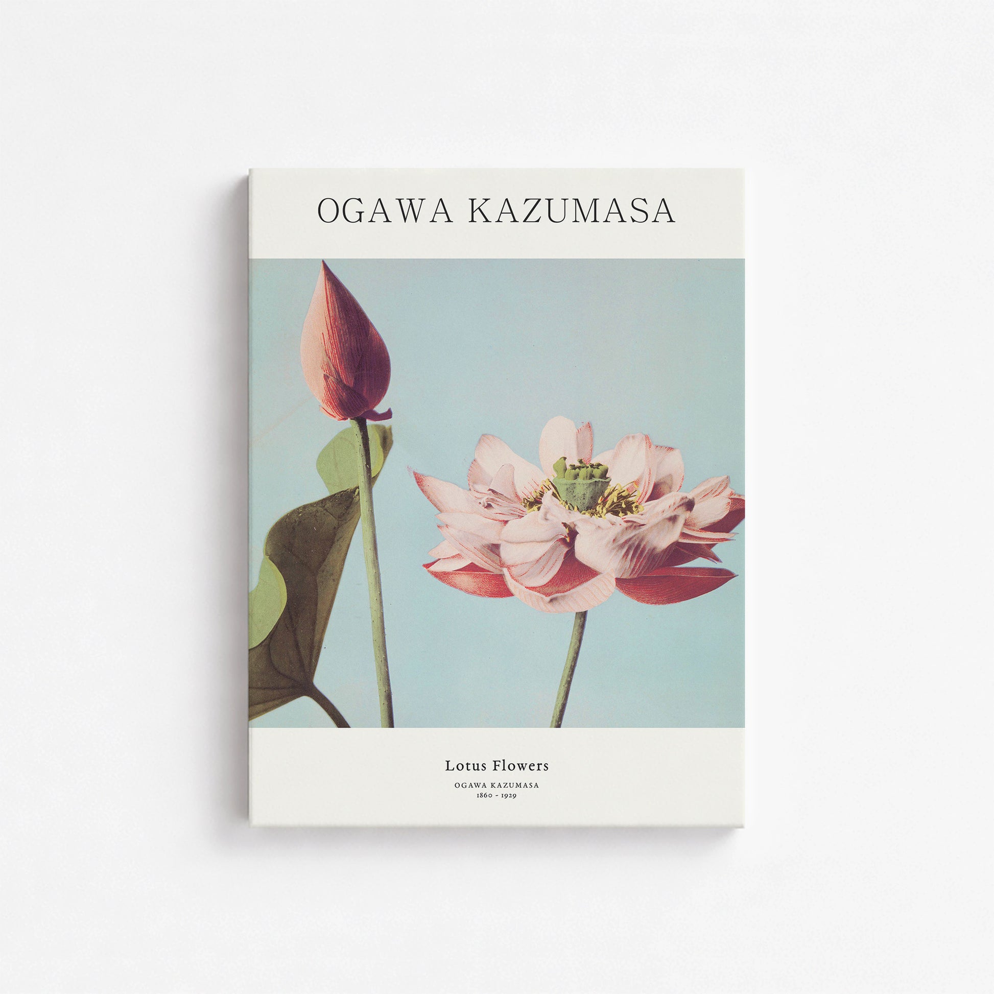 Ogawa Kazumasa: Lotus Flowers - Japandi, 30x40cm Satin Canvas Art Reproduction