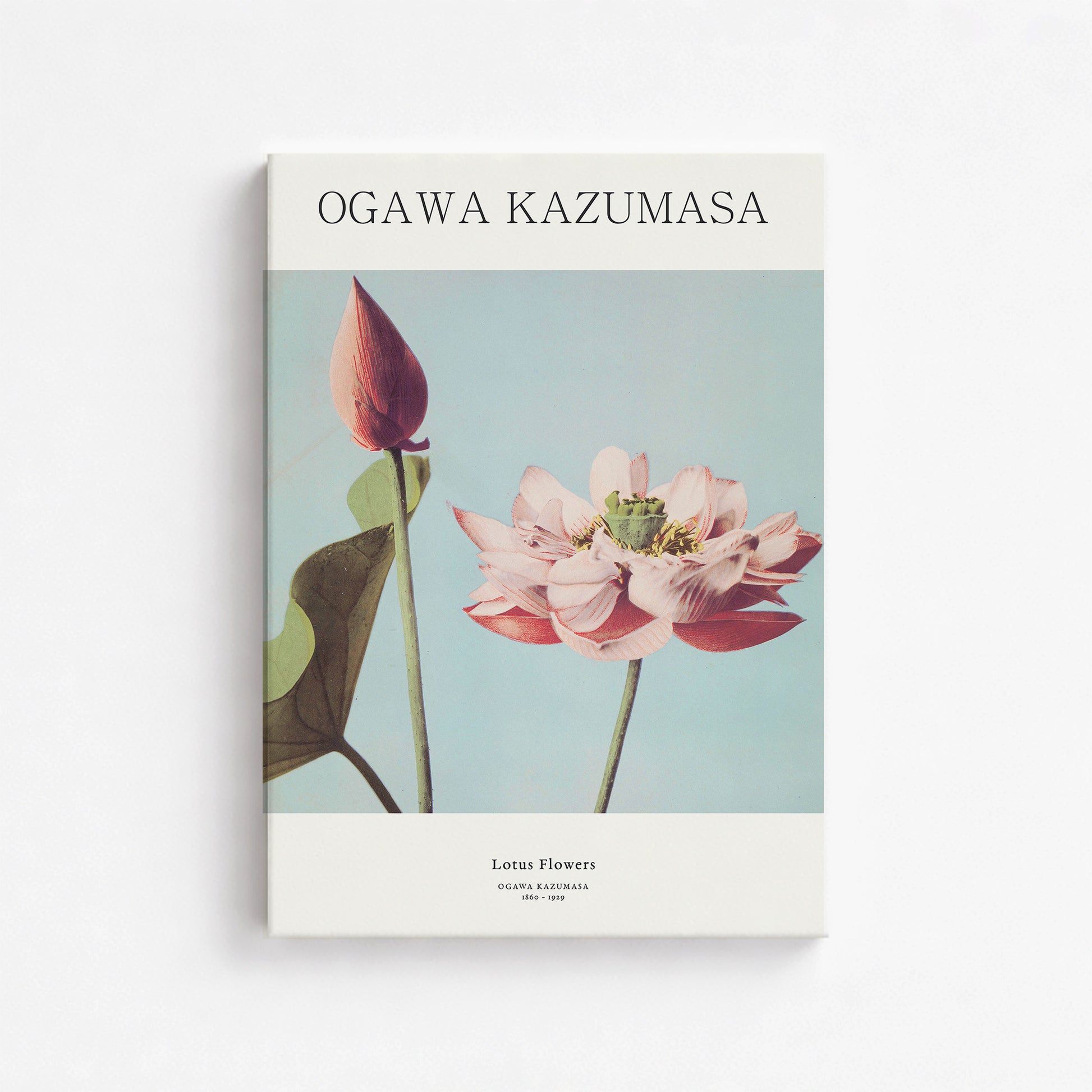 Ogawa Kazumasa: Lotus Flowers - Japandi, 50x70cm Satin Canvas Art Reproduction
