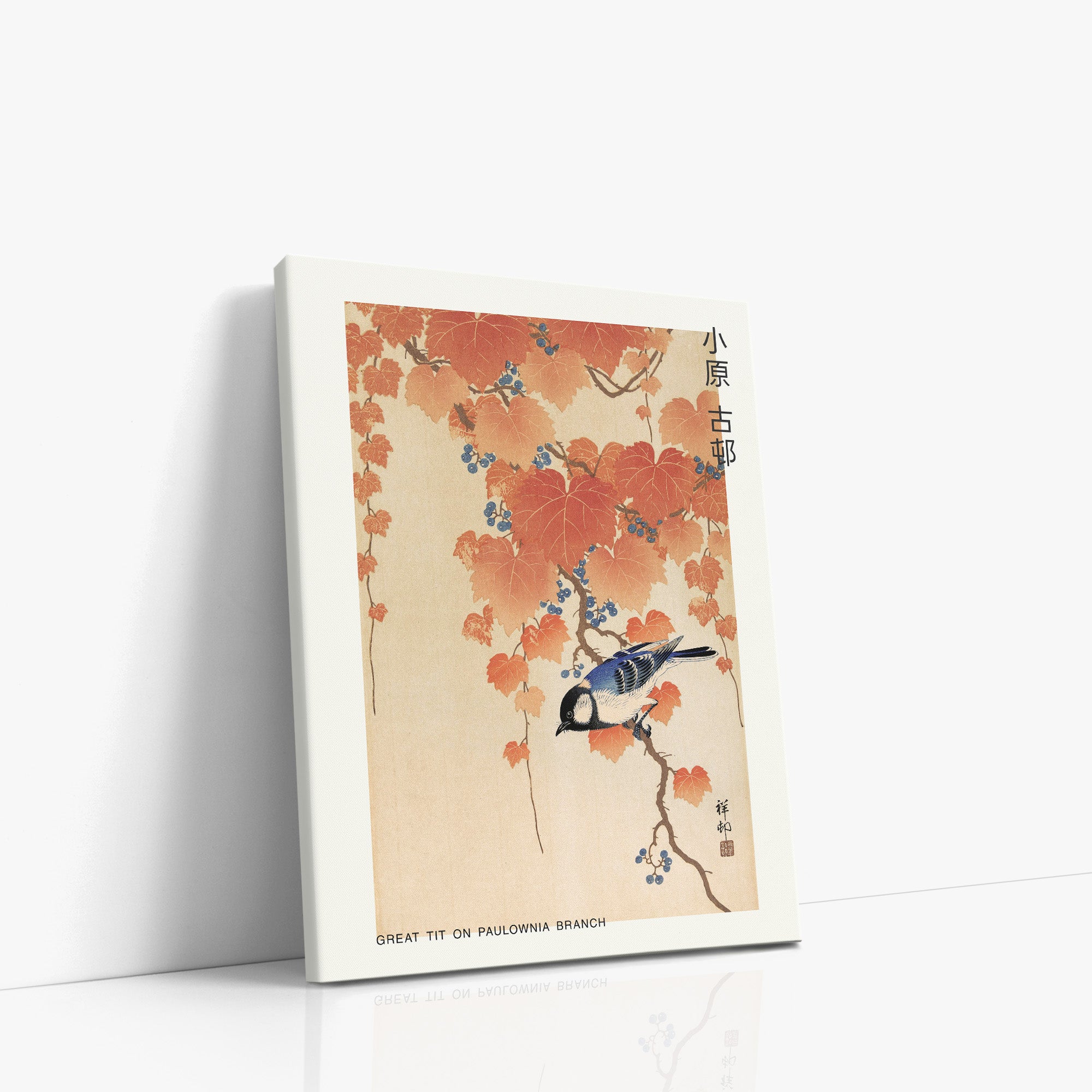 Mésange charbonnière sur une branche de paulownia - Japandi