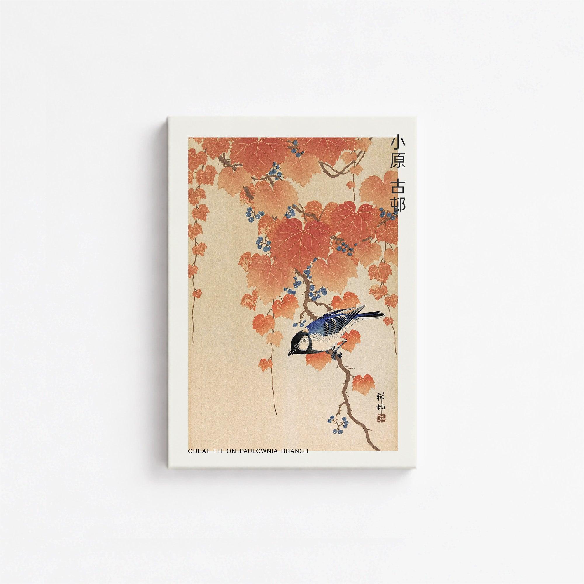 Mésange charbonnière sur une branche de paulownia - Japandi