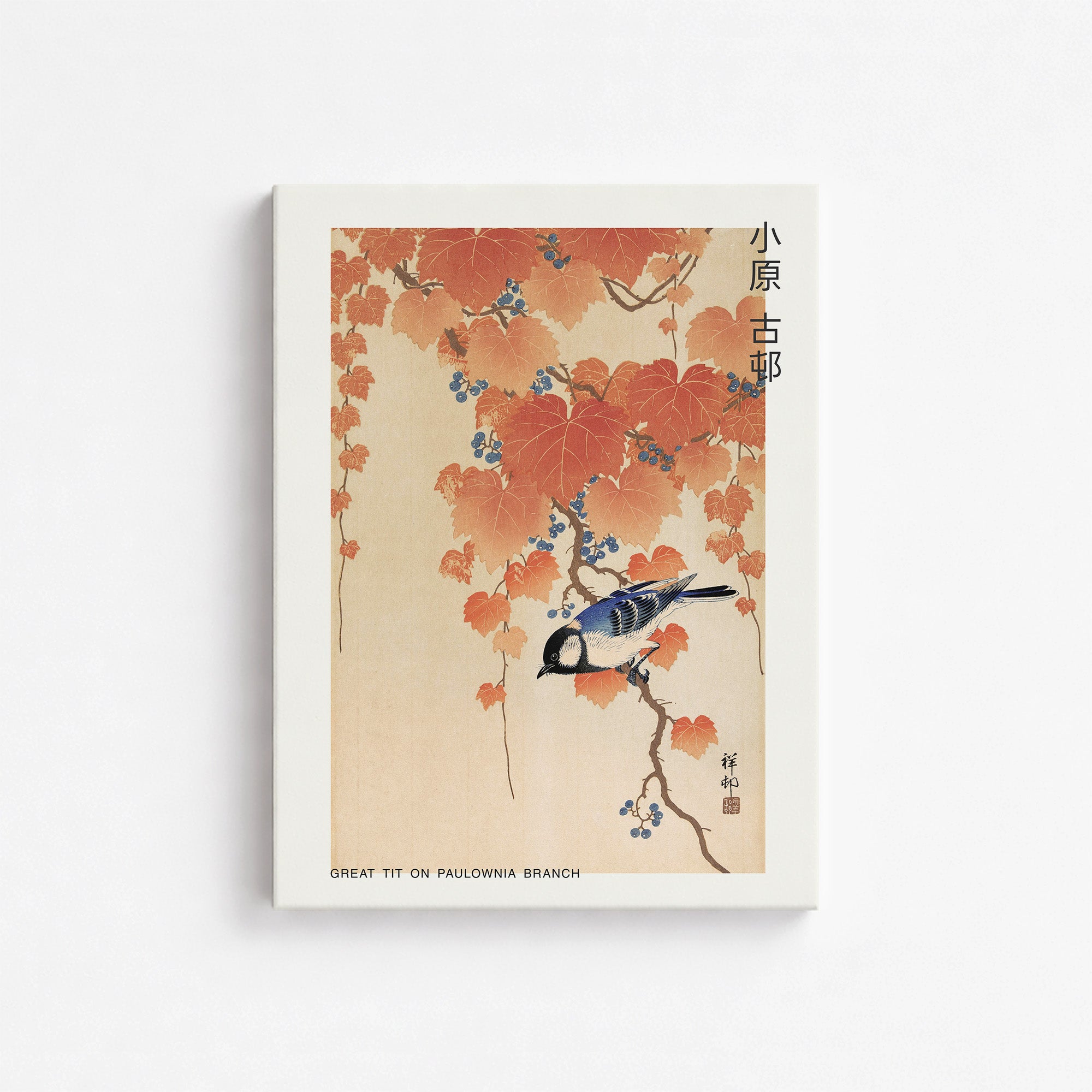 Mésange charbonnière sur une branche de paulownia - Japandi