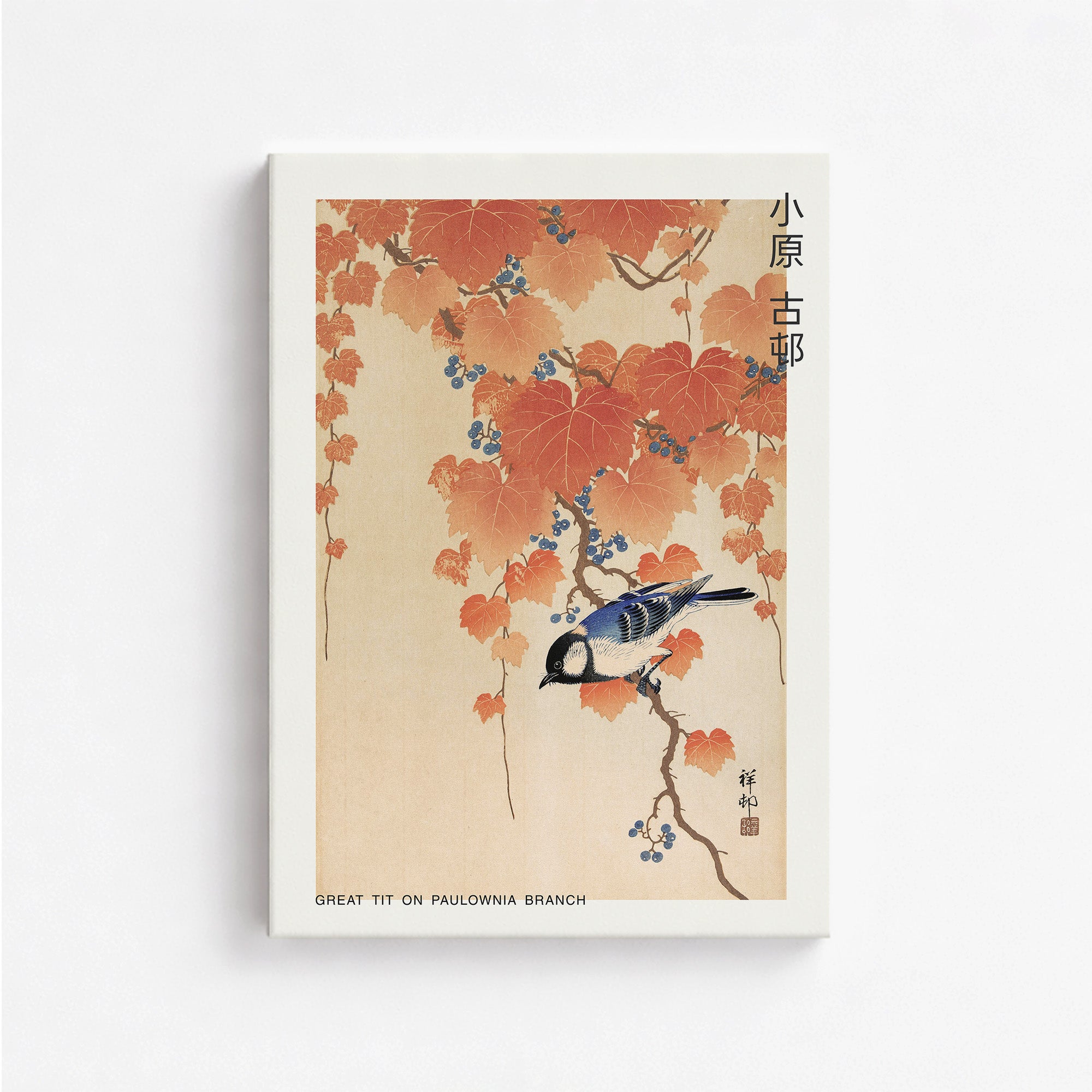 Mésange charbonnière sur une branche de paulownia - Japandi