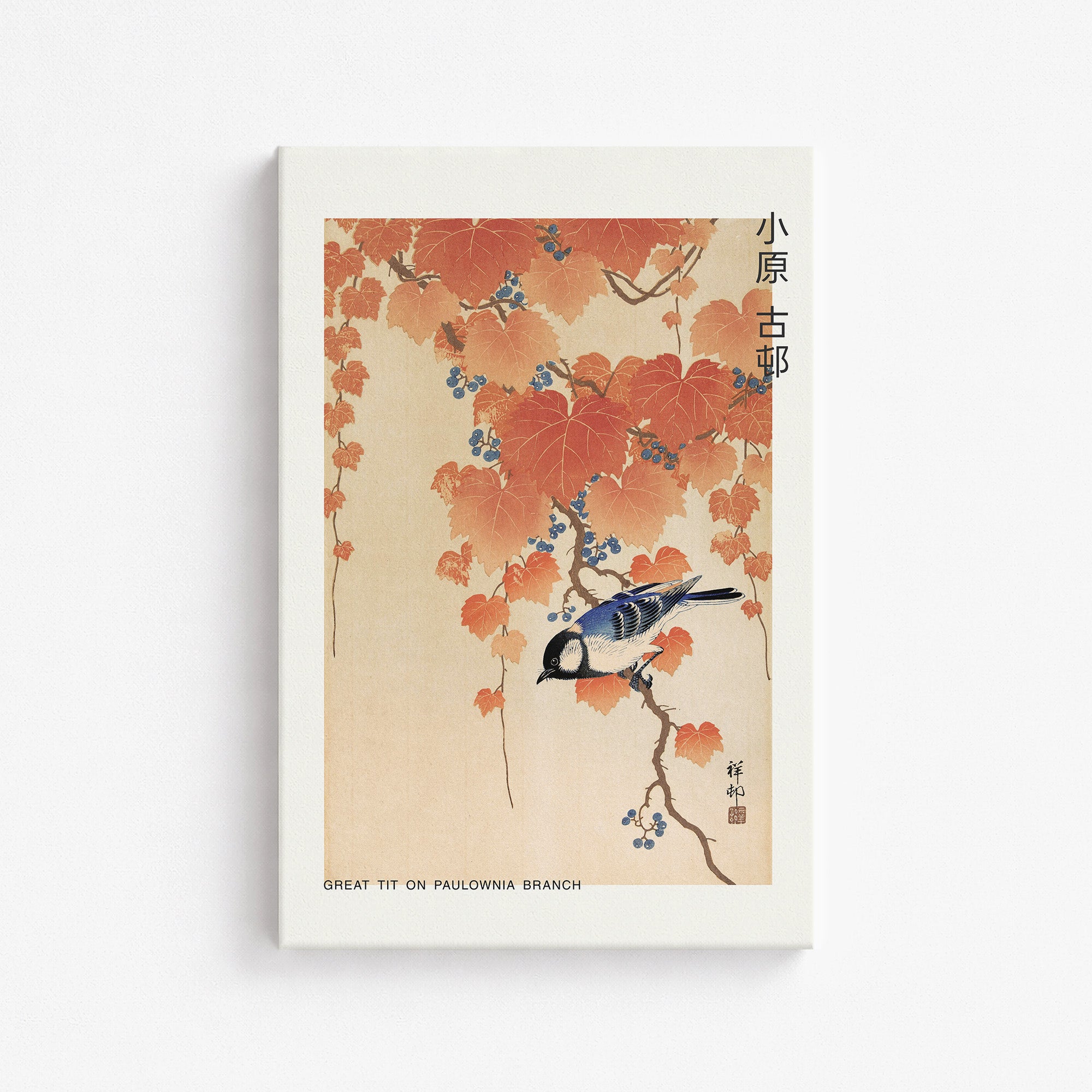 Mésange charbonnière sur une branche de paulownia - Japandi