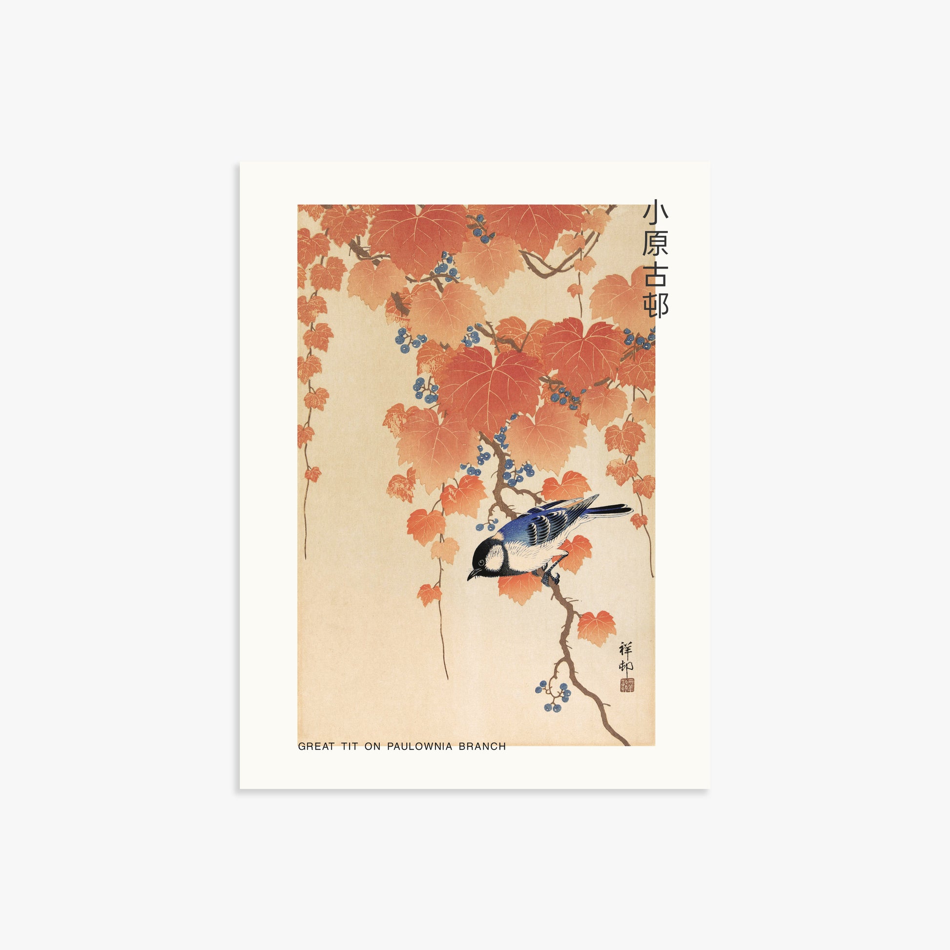 Ohara Koson: Great tit on paulownia branch - Japandi, 30x40cm Art Reproduction Unframed