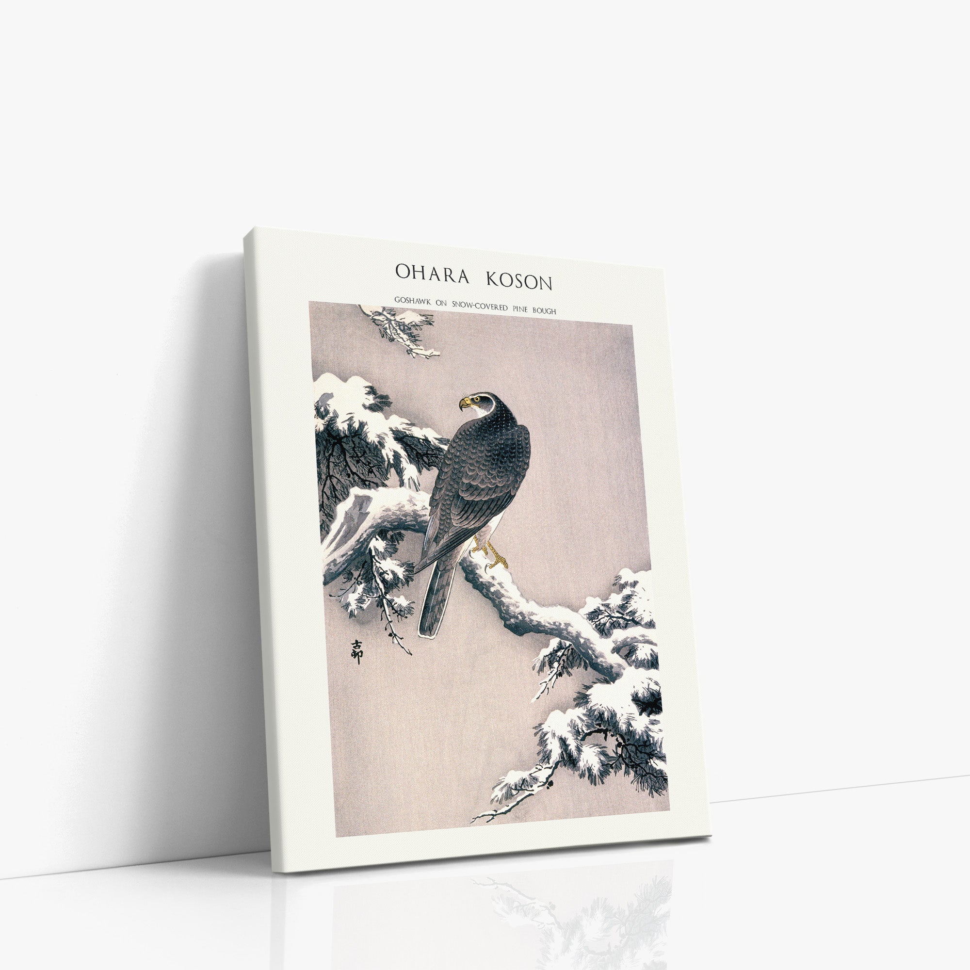 Habicht auf schneebedecktem Kiefernzweig - Galeriestil