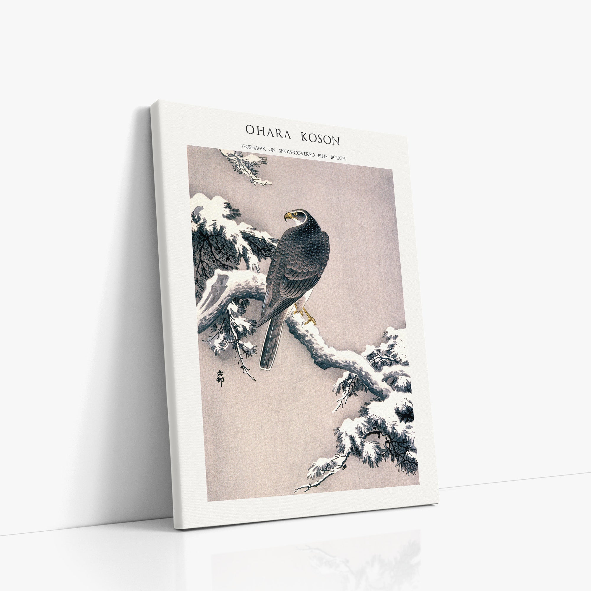 Habicht auf schneebedecktem Kiefernzweig - Galeriestil