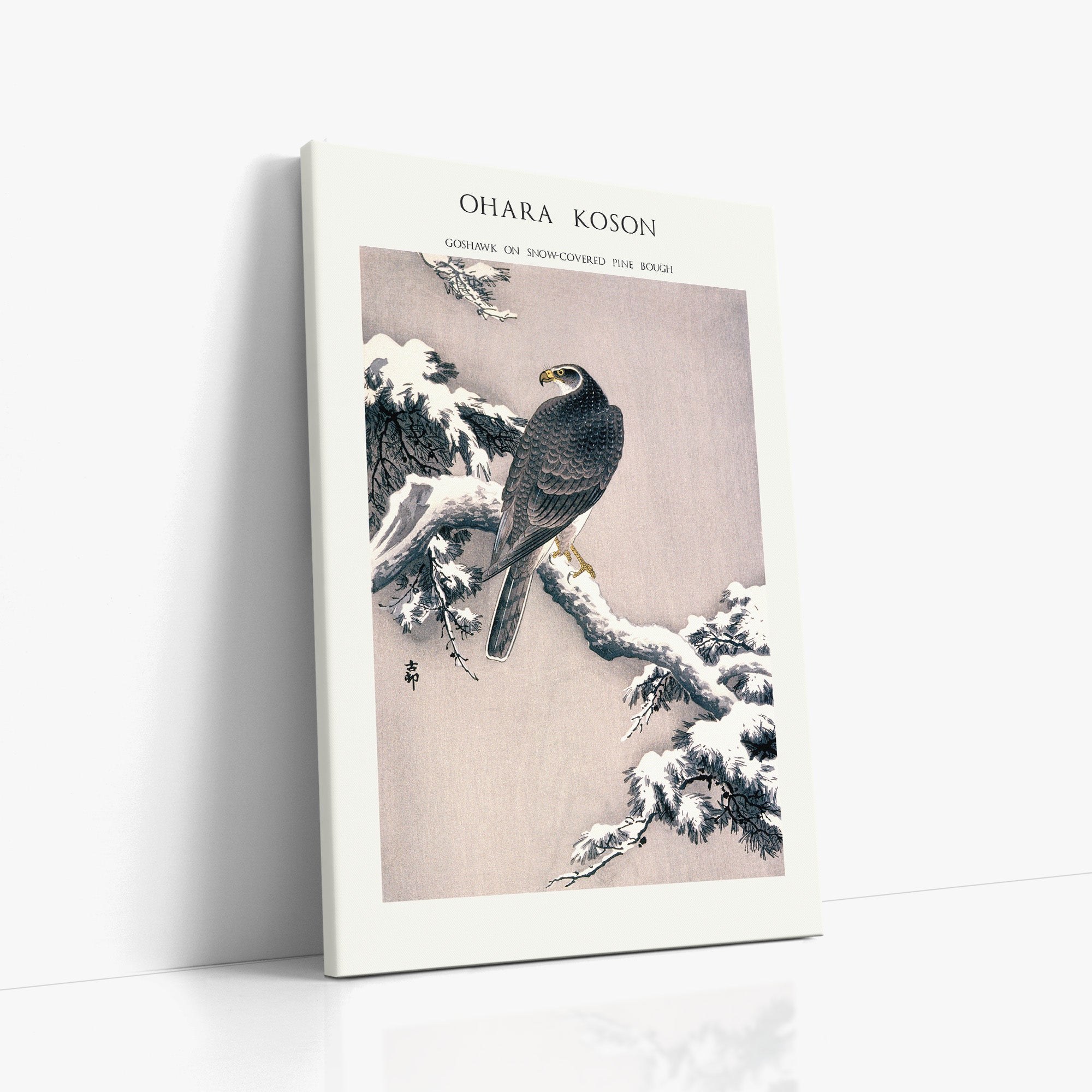 Habicht auf schneebedecktem Kiefernzweig - Galeriestil
