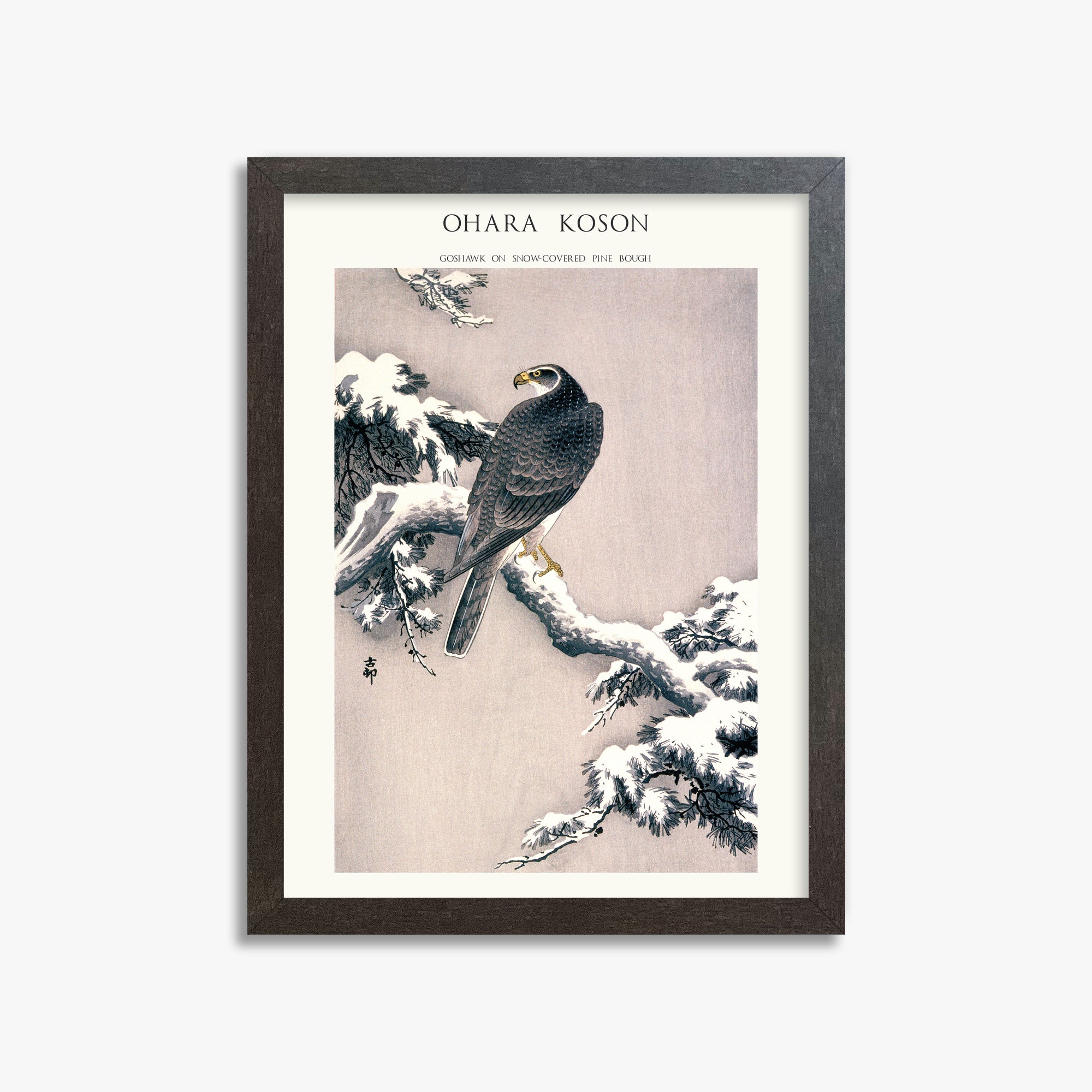 Ohara Koson: Goshawk on Snow-covered Pine Bough  - Japandi, 30x40cm Framed Art Reproduction With Espresso Frame