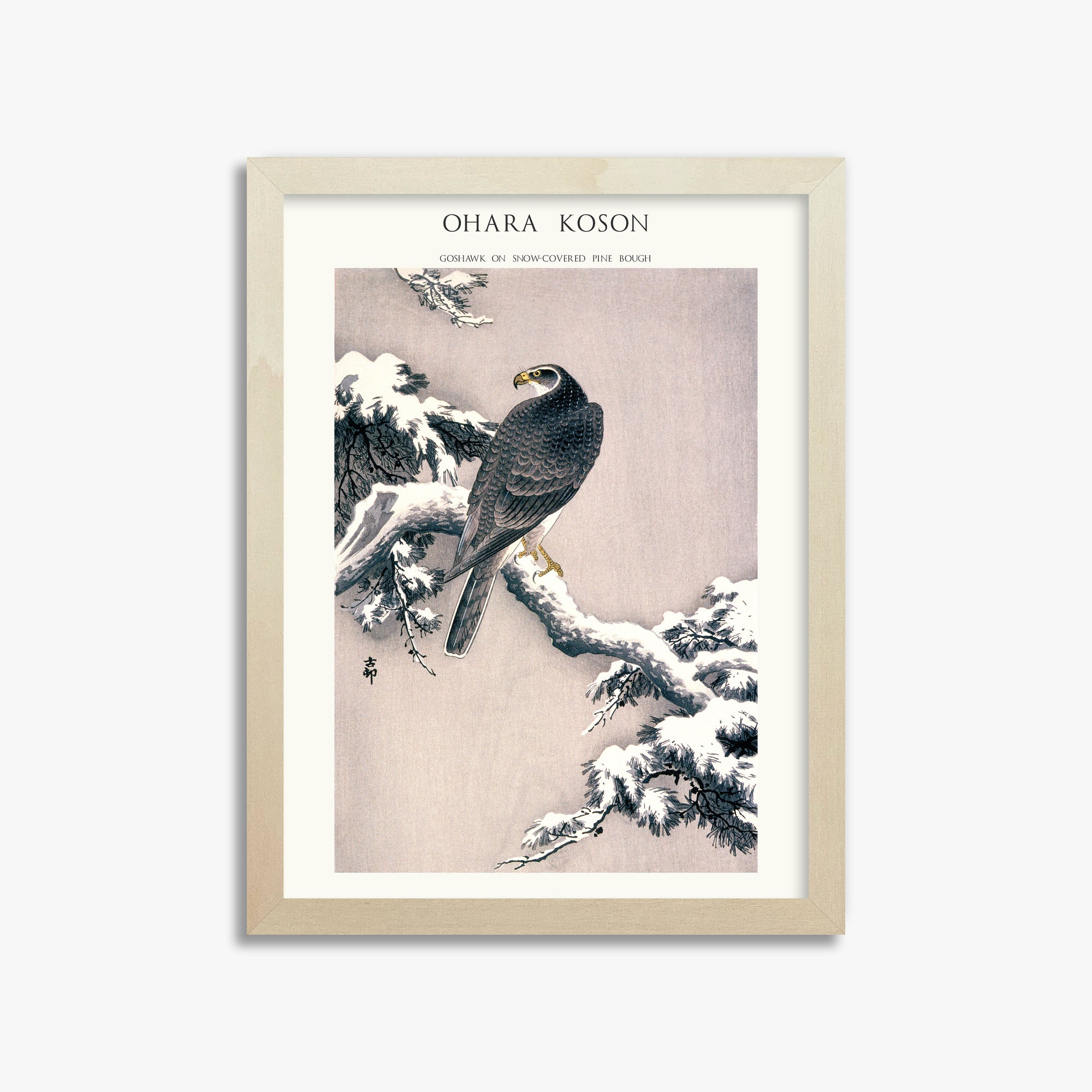 Ohara Koson: Goshawk on Snow-covered Pine Bough  - Japandi, 30x40cm Framed Art Reproduction With Lime Wood Frame