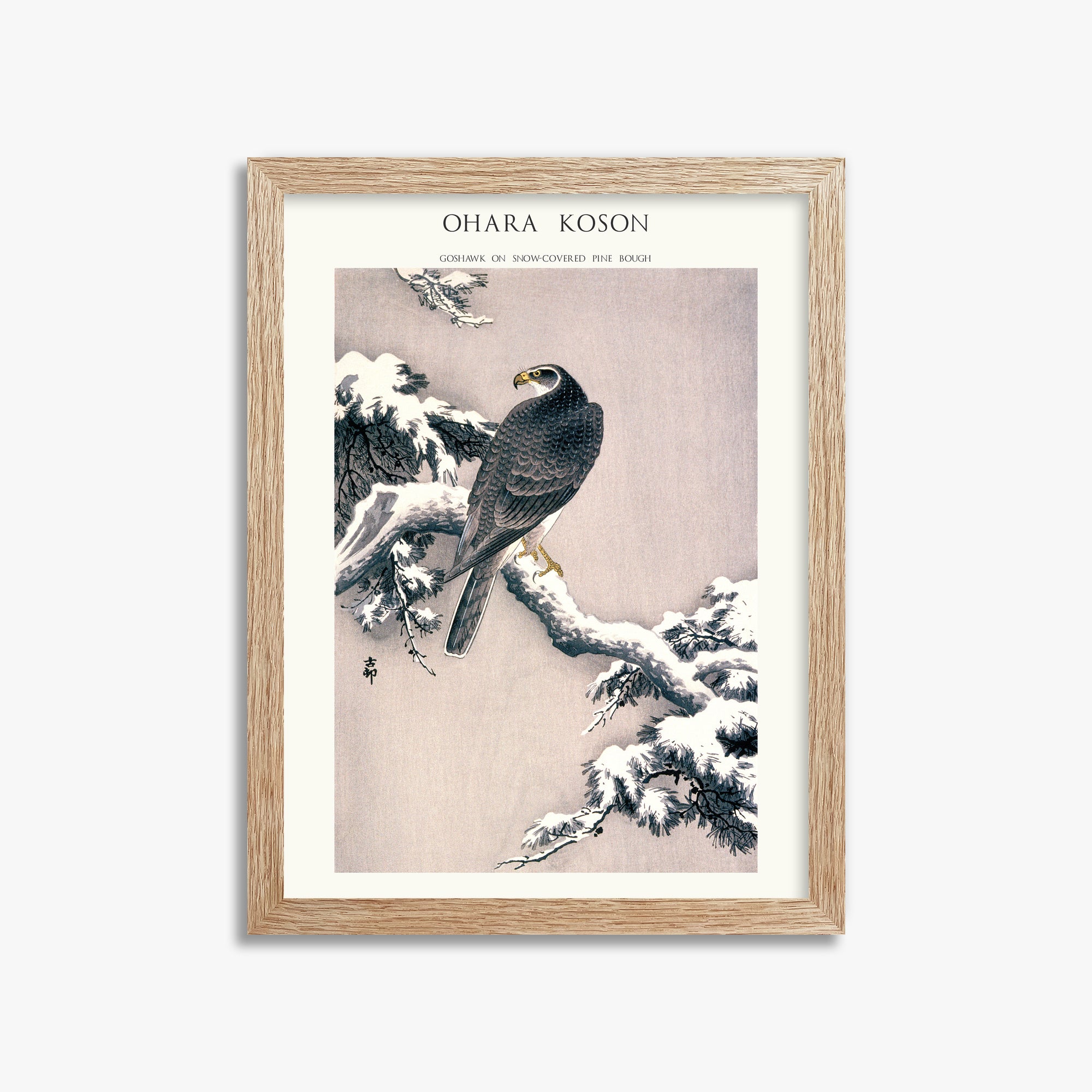 Ohara Koson: Goshawk on Snow-covered Pine Bough  - Japandi, 30x40cm Framed Art Reproduction With Raw Oak Frame