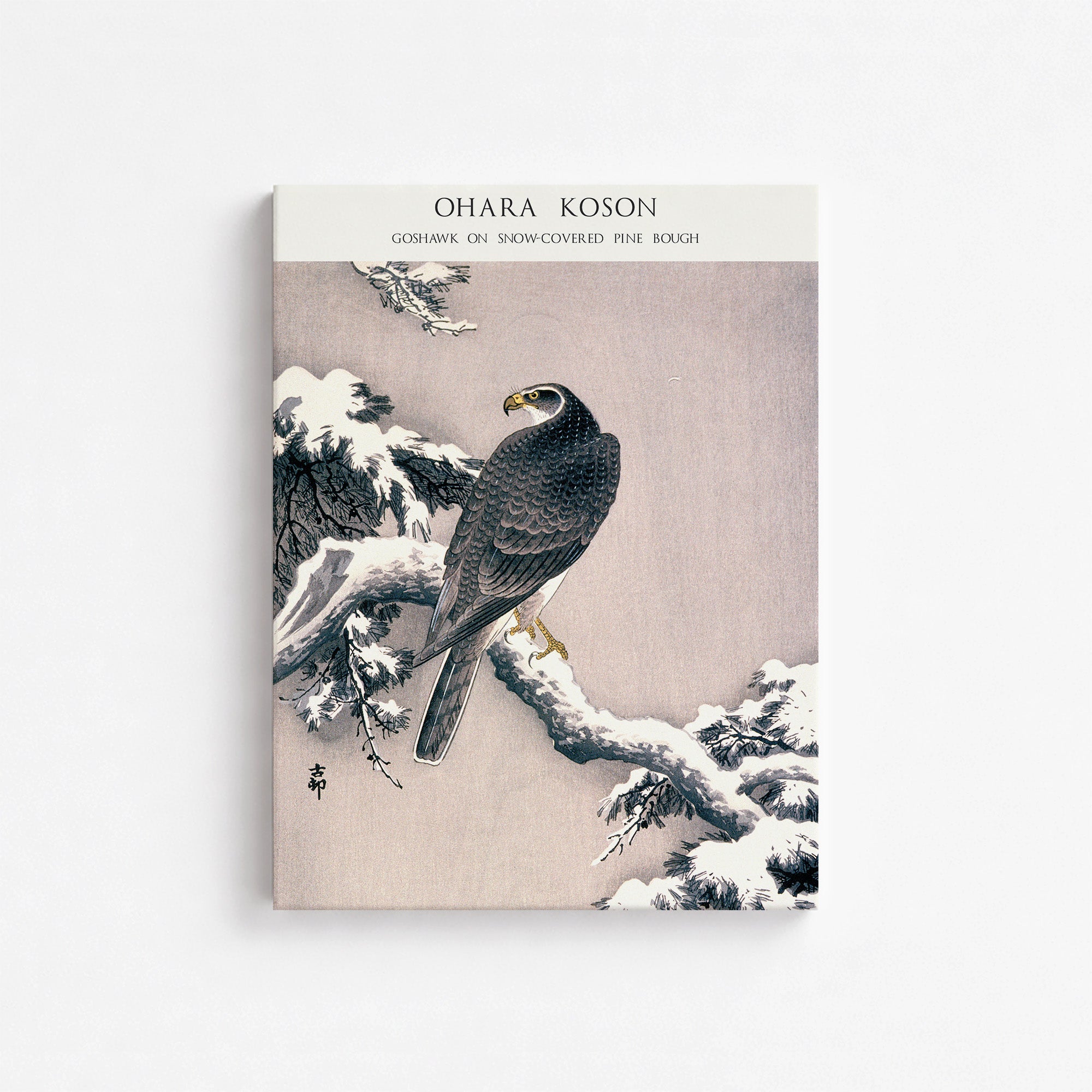 Ohara Koson: Goshawk on Snow-covered Pine Bough  - Japandi, 30x40cm Satin Canvas Art Reproduction
