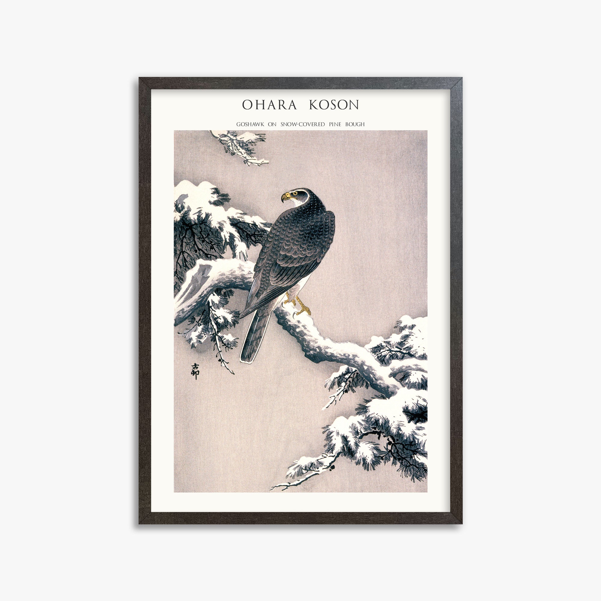 Ohara Koson: Goshawk on Snow-covered Pine Bough  - Japandi, 50x70cm Framed Art Reproduction With Espresso Frame