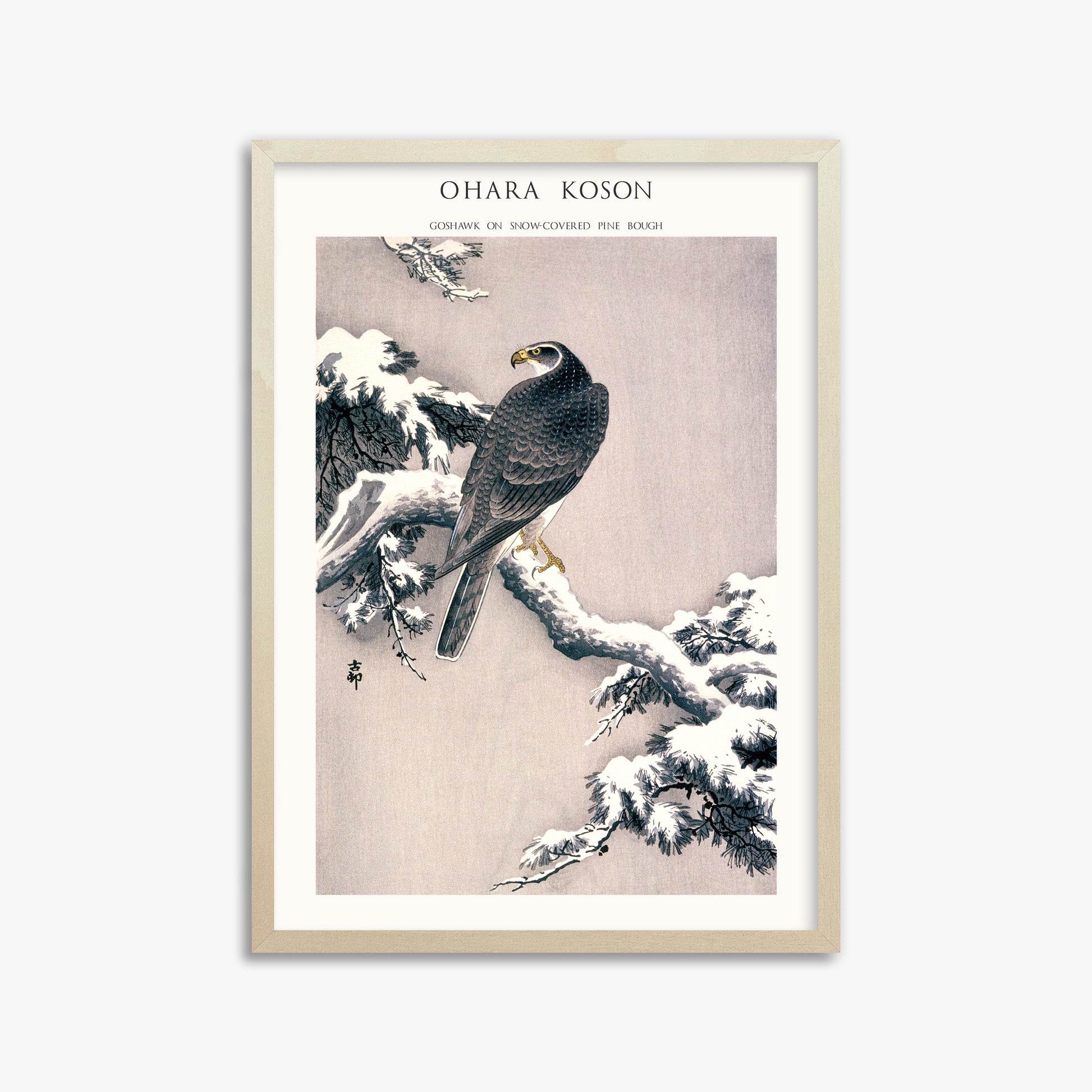 Ohara Koson: Goshawk on Snow-covered Pine Bough  - Japandi, 50x70cm Framed Art Reproduction With Lime Wood Frame