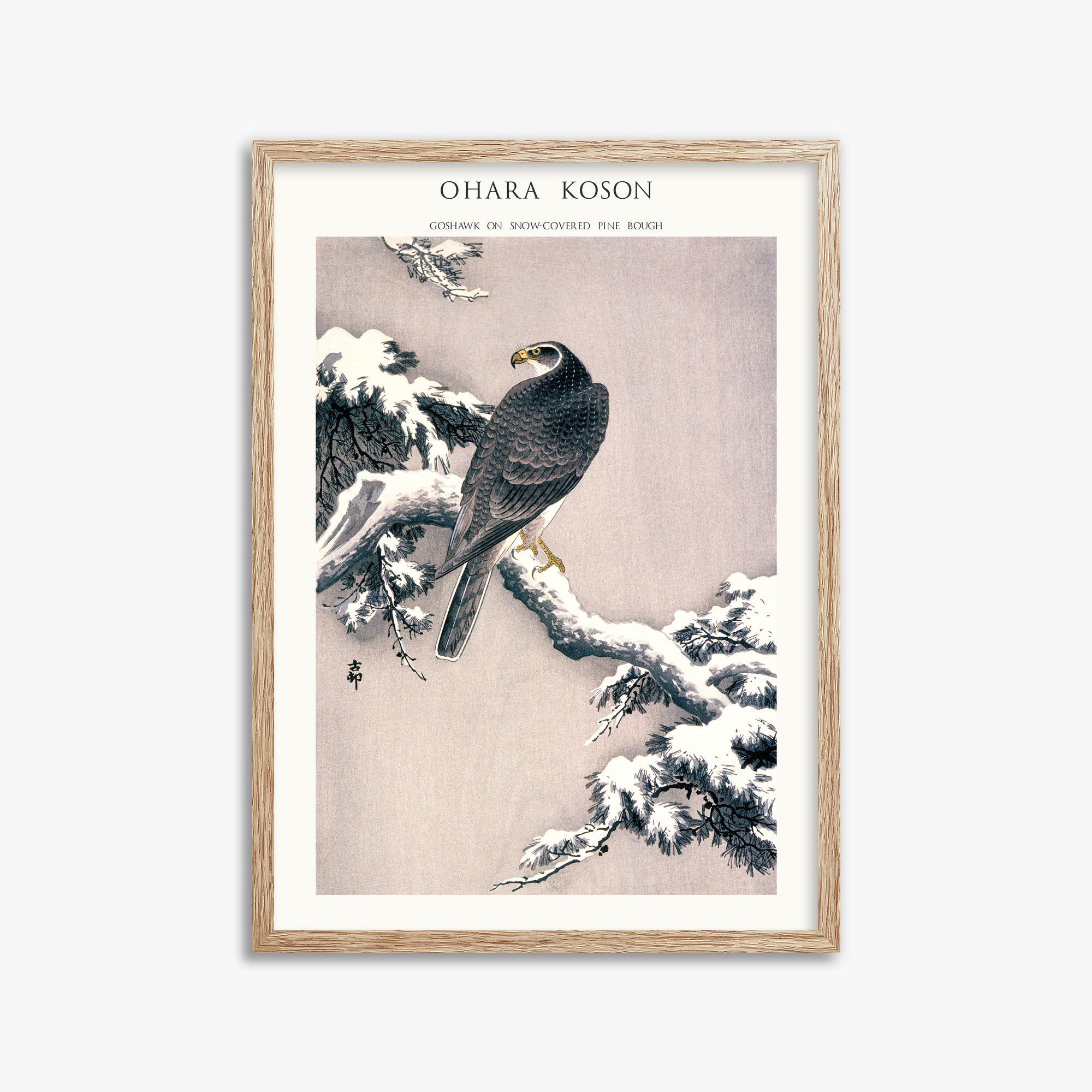 Ohara Koson: Goshawk on Snow-covered Pine Bough  - Japandi, 50x70cm Framed Art Reproduction With Raw Oak Frame