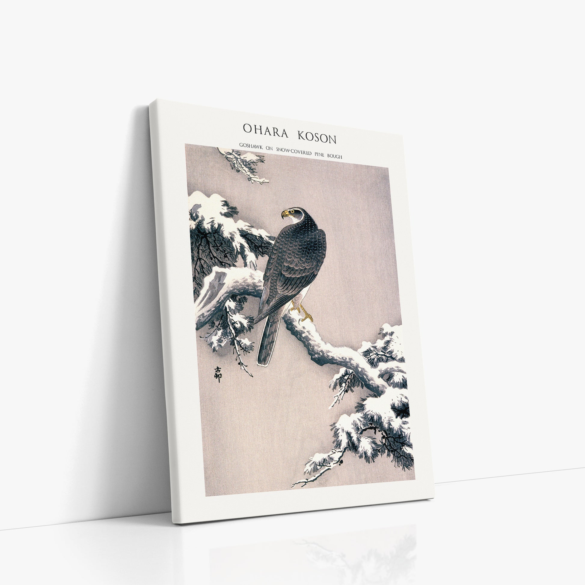 Ohara Koson: Goshawk on Snow-covered Pine Bough  - Japandi, 50x70cm Satin Canvas Art Reproduction Left Angle