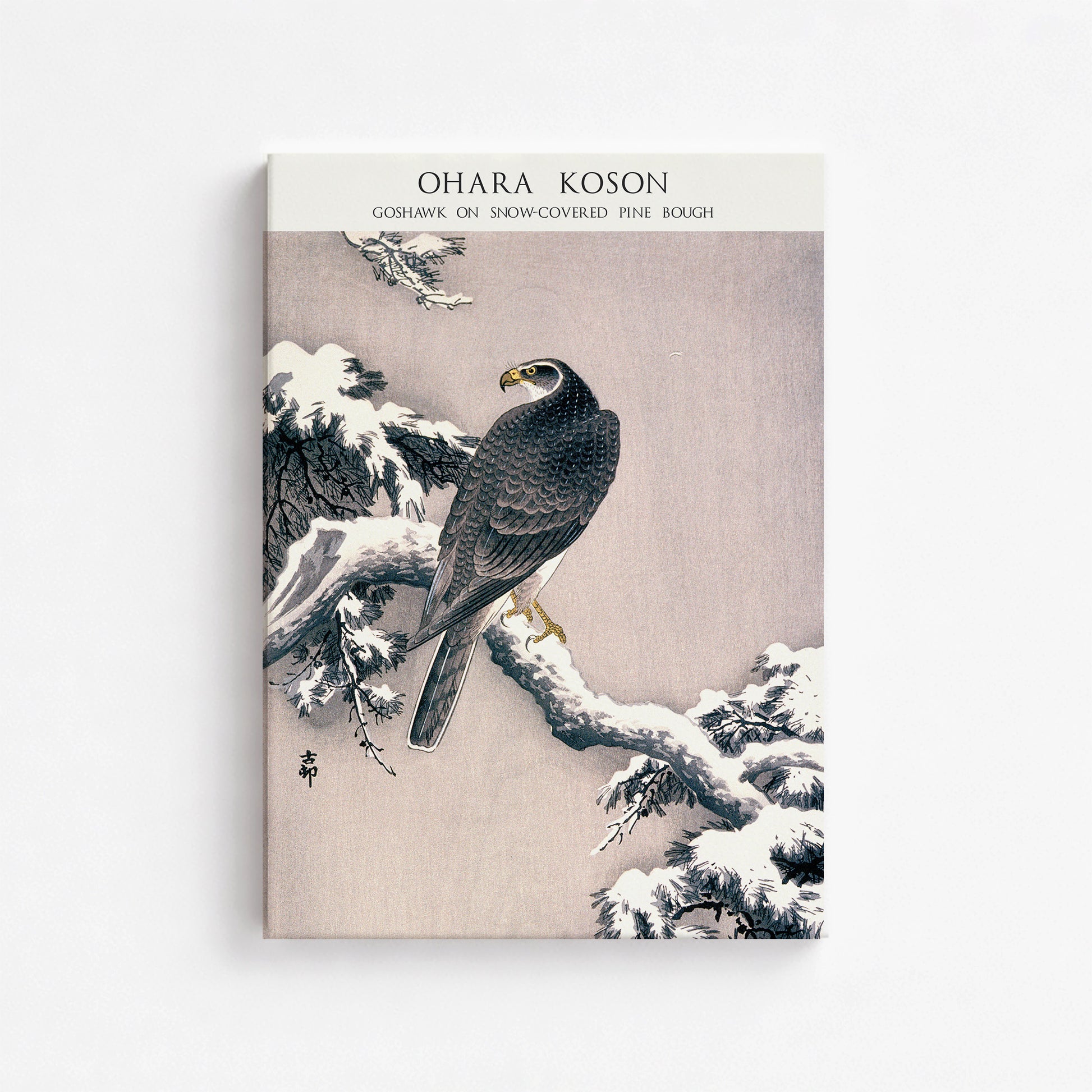 Ohara Koson: Goshawk on Snow-covered Pine Bough  - Japandi, 50x70cm Satin Canvas Art Reproduction