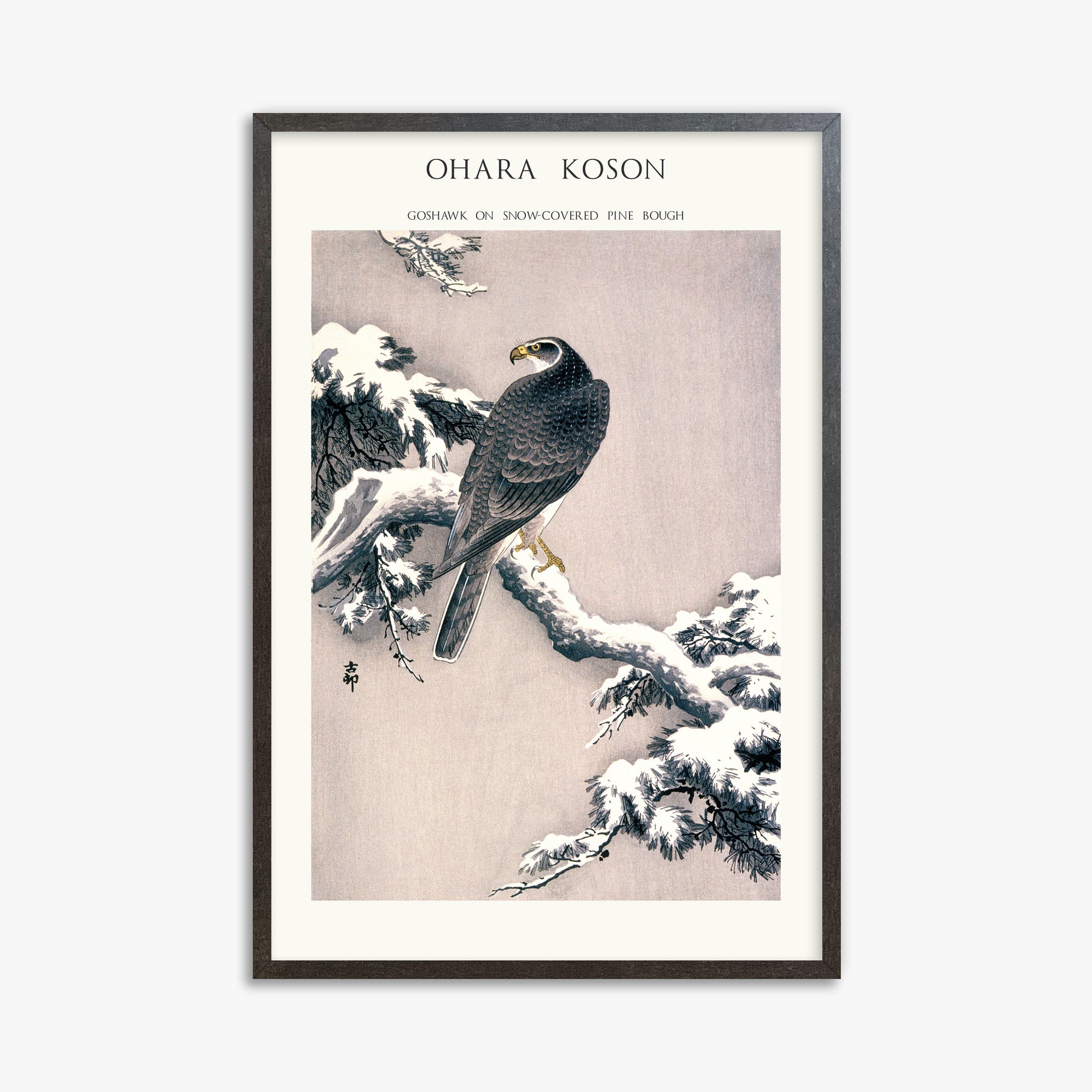 Ohara Koson: Goshawk on Snow-covered Pine Bough  - Japandi, 61x91cm Framed Art Reproduction With Espresso Frame