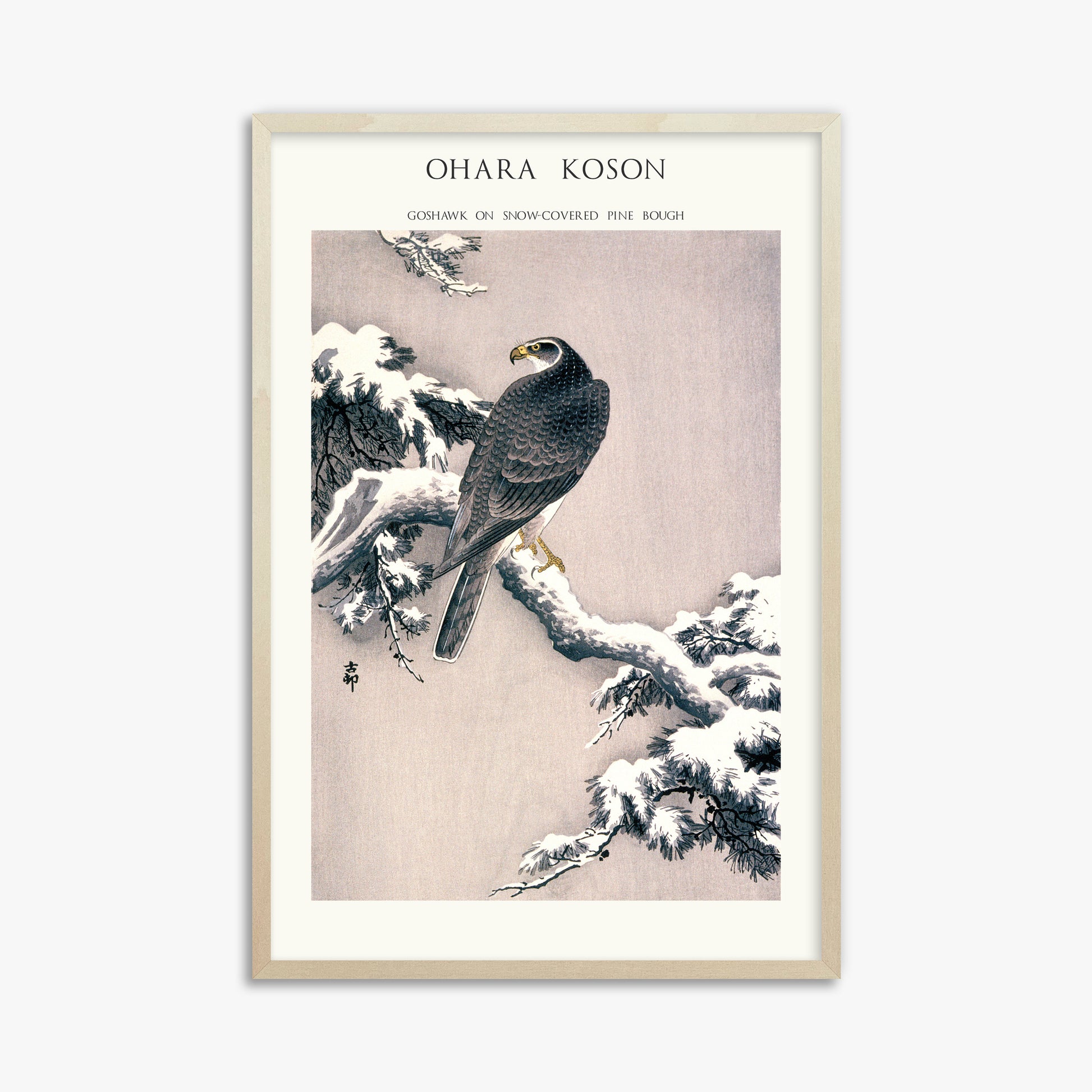 Ohara Koson: Goshawk on Snow-covered Pine Bough  - Japandi, 61x91cm Framed Art Reproduction With Lime Wood Frame