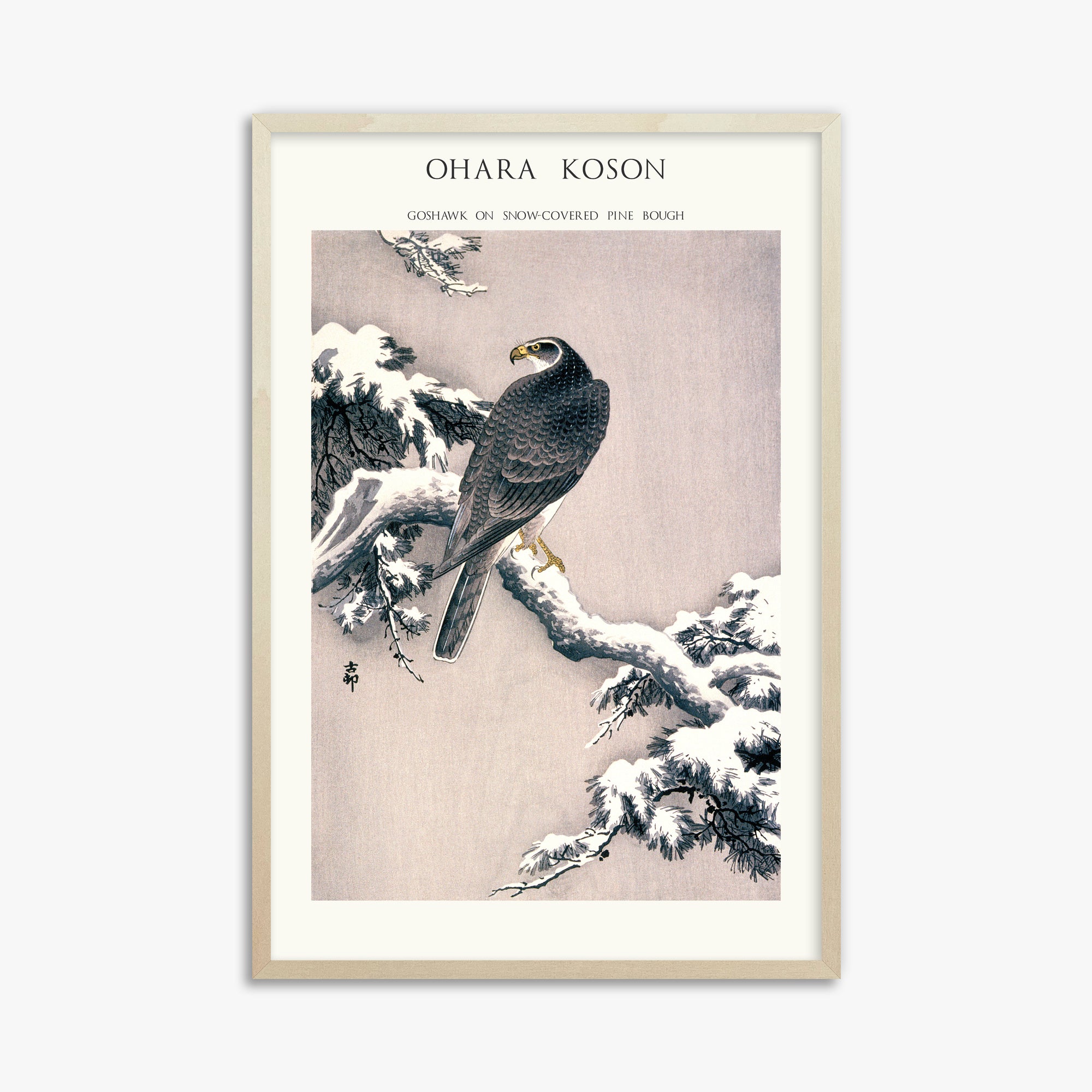 Ohara Koson: Goshawk on Snow-covered Pine Bough  - Japandi, 61x91cm Framed Art Reproduction With Lime Wood Frame
