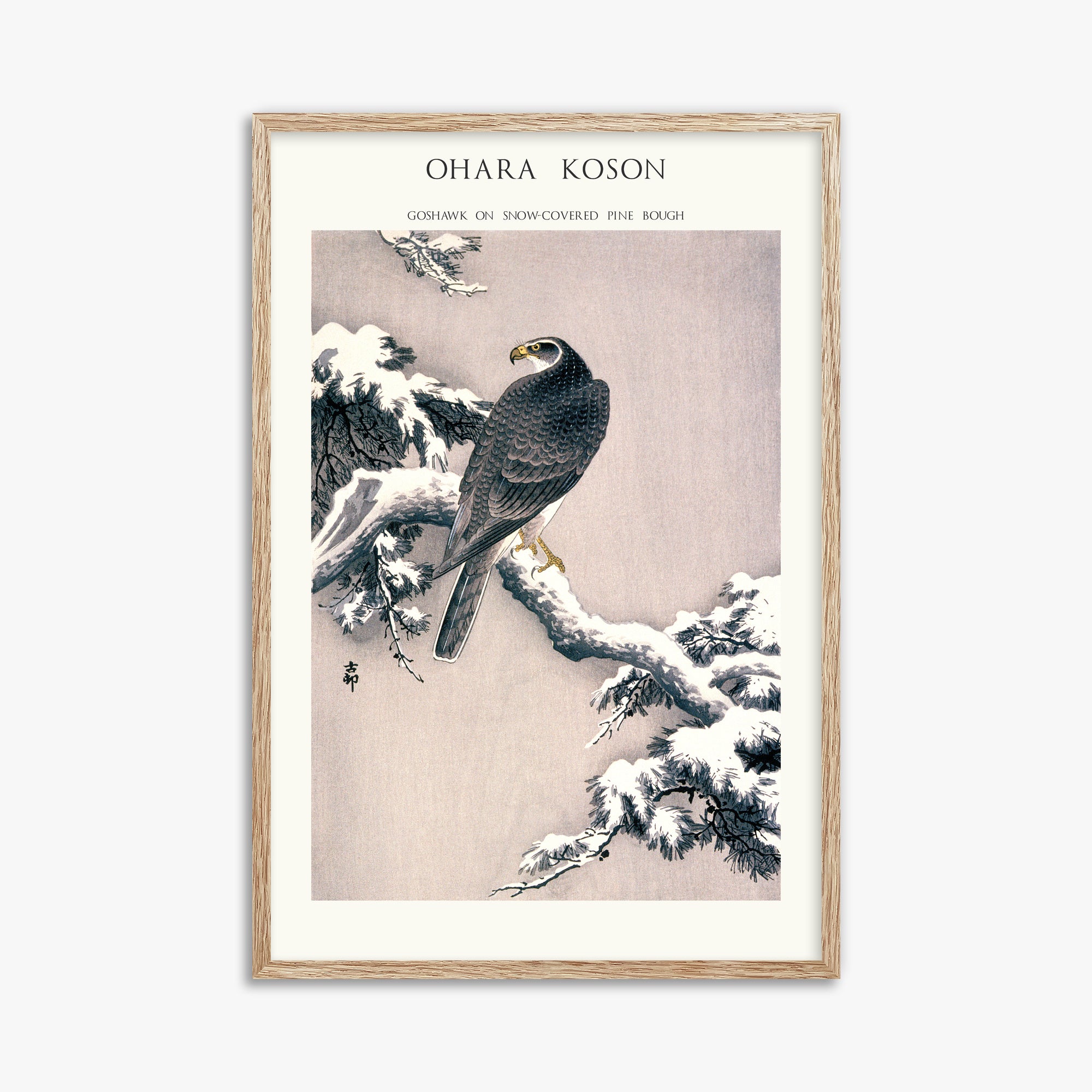 Ohara Koson: Goshawk on Snow-covered Pine Bough  - Japandi, 61x91cm Framed Art Reproduction With Raw Oak Frame