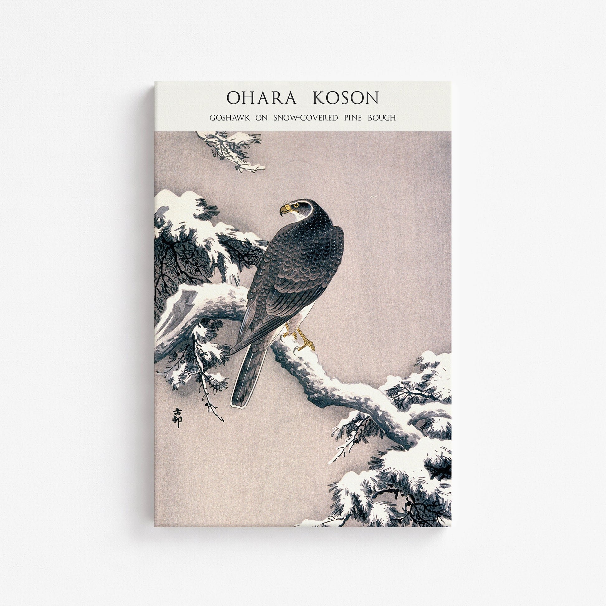 Ohara Koson: Goshawk on Snow-covered Pine Bough  - Japandi, 61x91cm Satin Canvas Art Reproduction