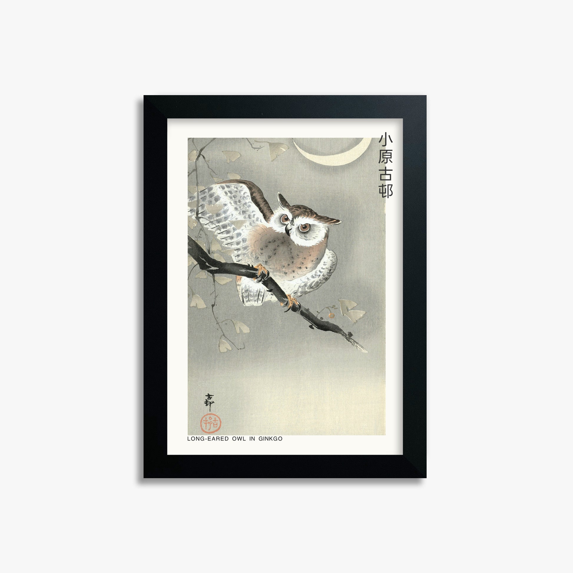 Ohara Koson: Long-eared owl in ginkgo - Japandi, 21x30cm Framed Art Reproduction With Black Frame