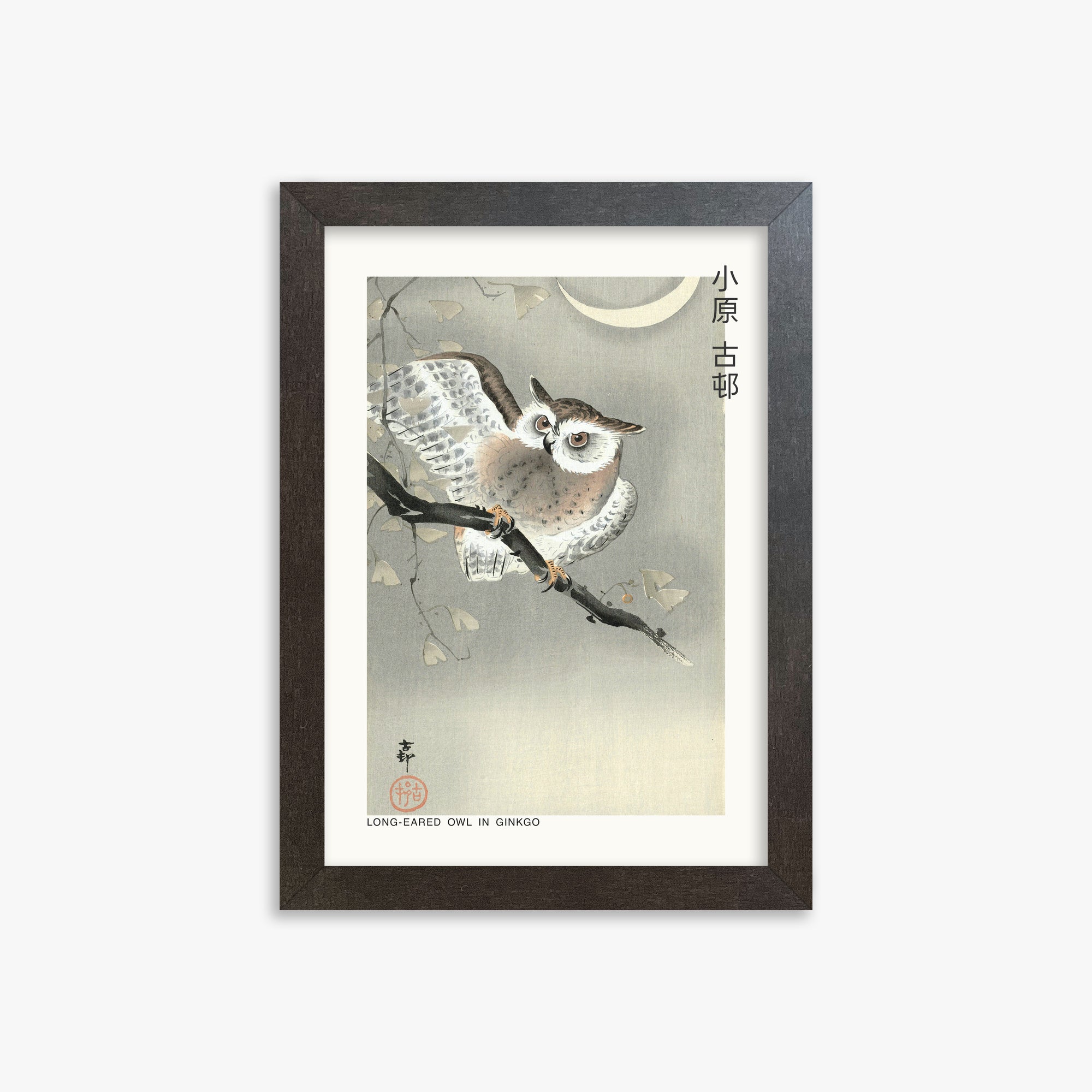 Ohara Koson: Long-eared owl in ginkgo - Japandi, 21x30cm Framed Art Reproduction With Espresso Frame