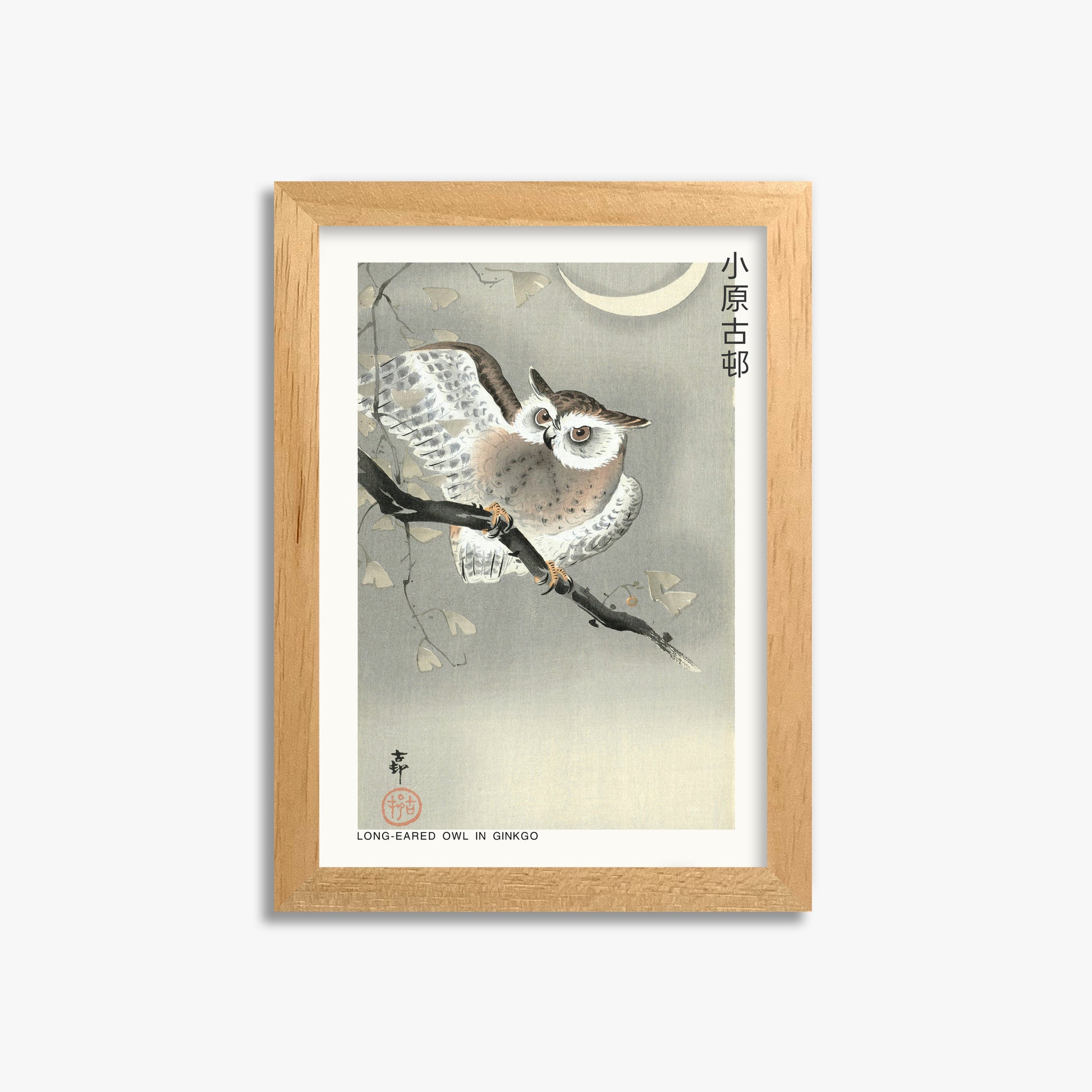 Ohara Koson: Long-eared owl in ginkgo - Japandi, 21x30cm Framed Art Reproduction With Oak Frame