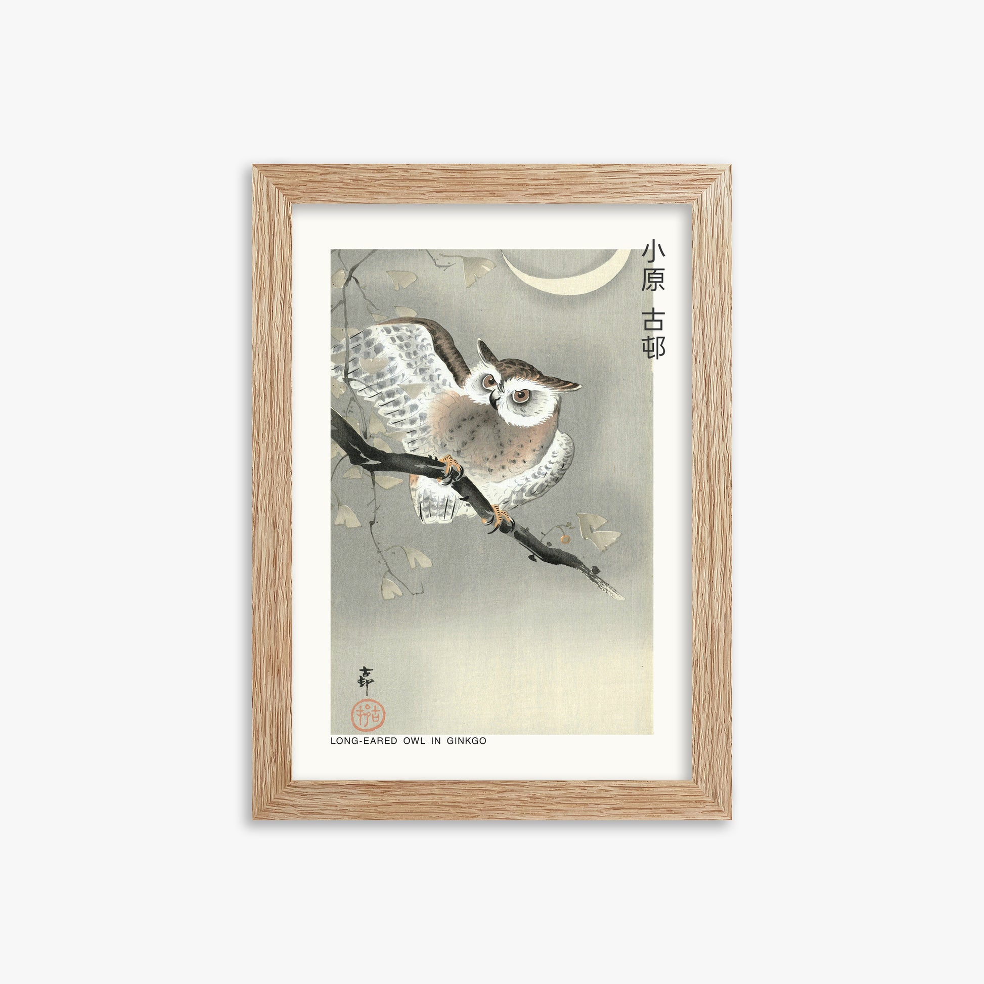 Ohara Koson: Long-eared owl in ginkgo - Japandi, 21x30cm Framed Art Reproduction With Raw Oak Frame