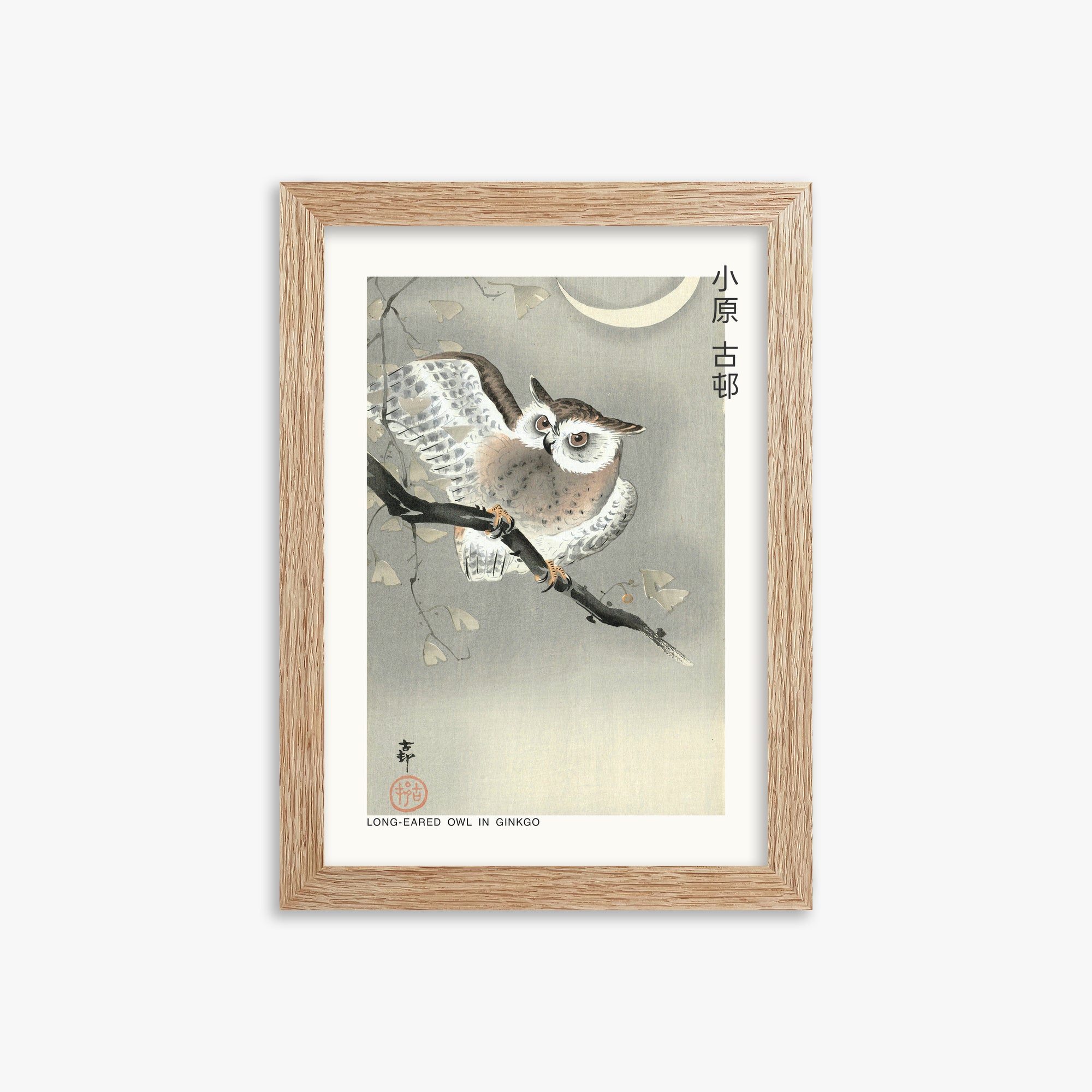 Ohara Koson: Long-eared owl in ginkgo - Japandi, 21x30cm Framed Art Reproduction With Raw Oak Frame