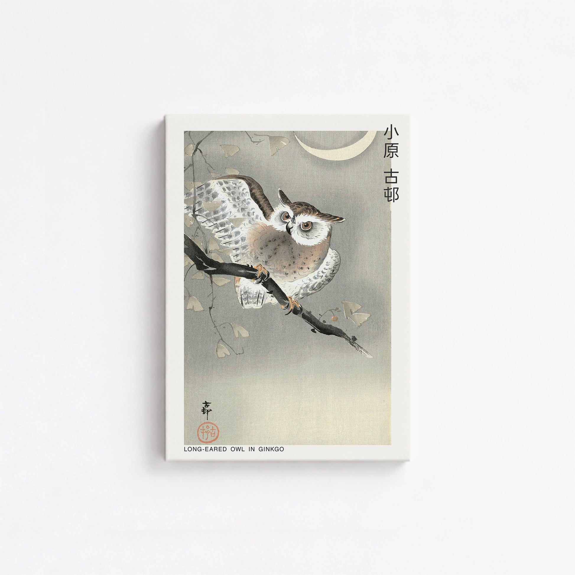 Ohara Koson: Long-eared owl in ginkgo - Japandi, 21x30cm Satin Canvas Art Reproduction