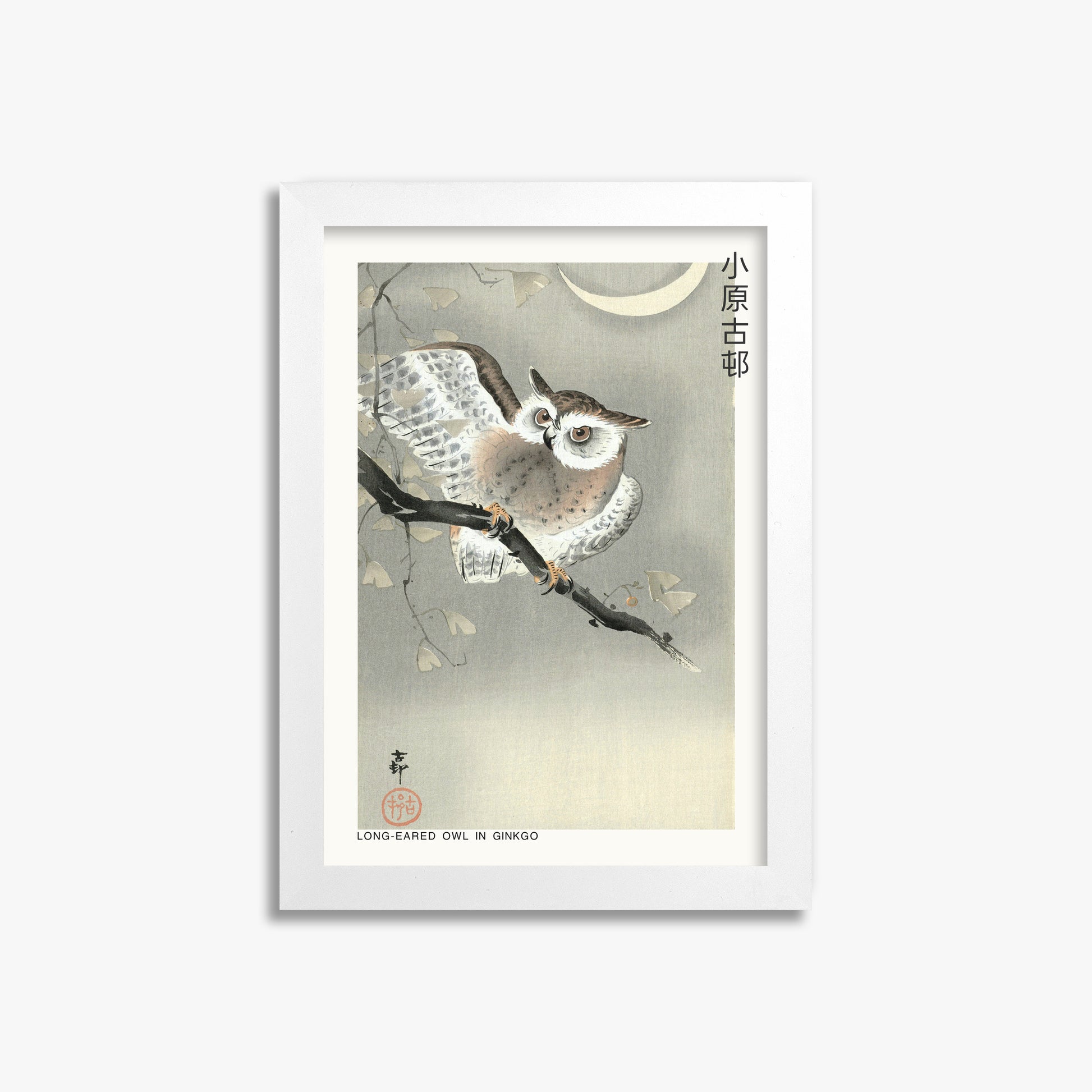 Ohara Koson: Long-eared owl in ginkgo - Japandi, 21x30cm Framed Art Reproduction With White Frame