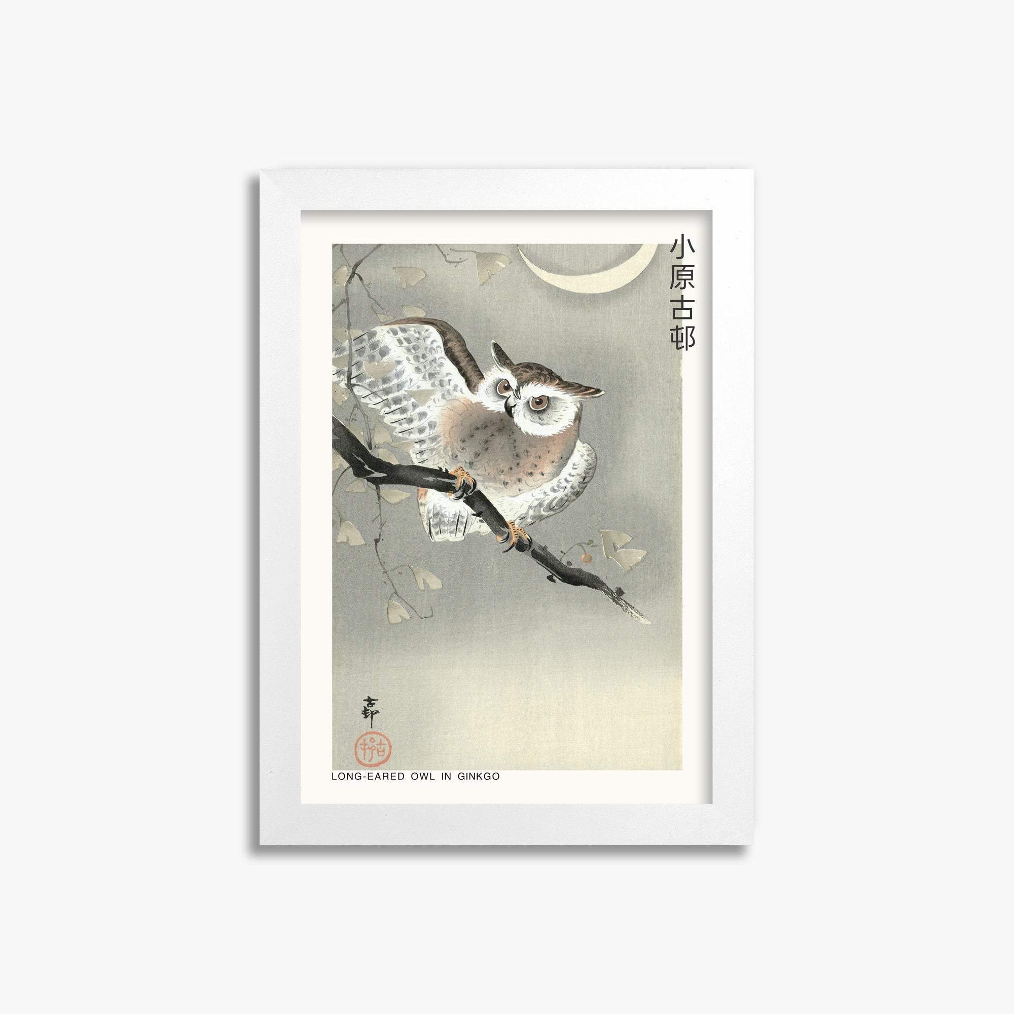 Ohara Koson: Long-eared owl in ginkgo - Japandi, 21x30cm Framed Art Reproduction With White Frame