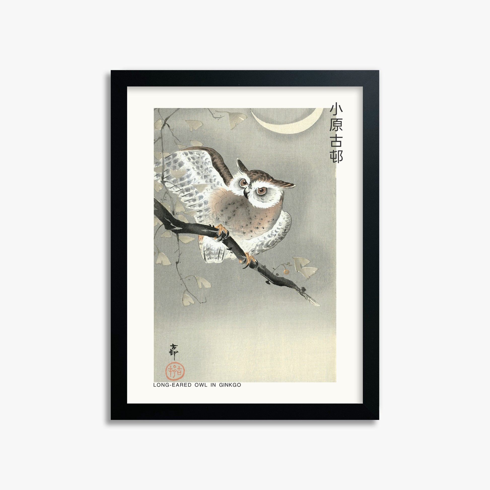 Ohara Koson: Long-eared owl in ginkgo - Japandi, 30x40cm Framed Art Reproduction With Black Frame