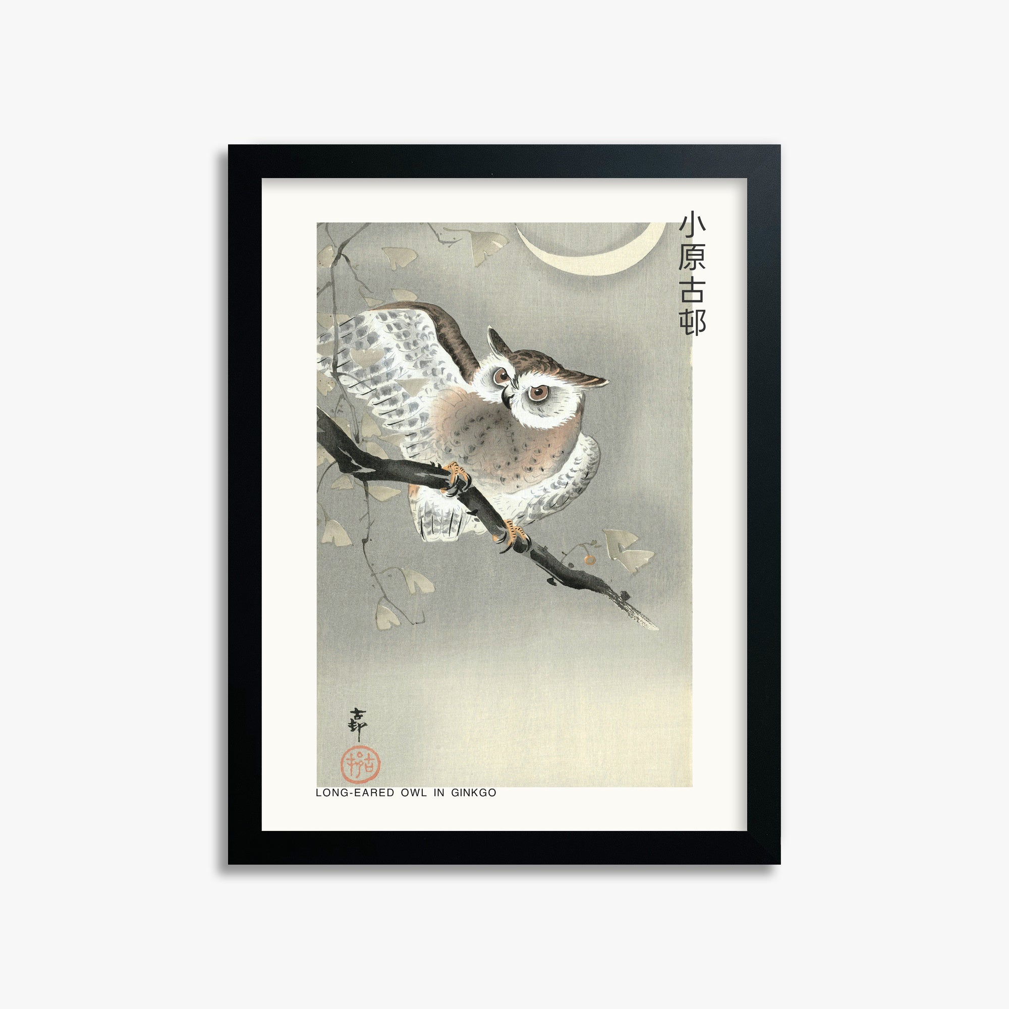 Ohara Koson: Long-eared owl in ginkgo - Japandi, 30x40cm Framed Art Reproduction With Black Frame