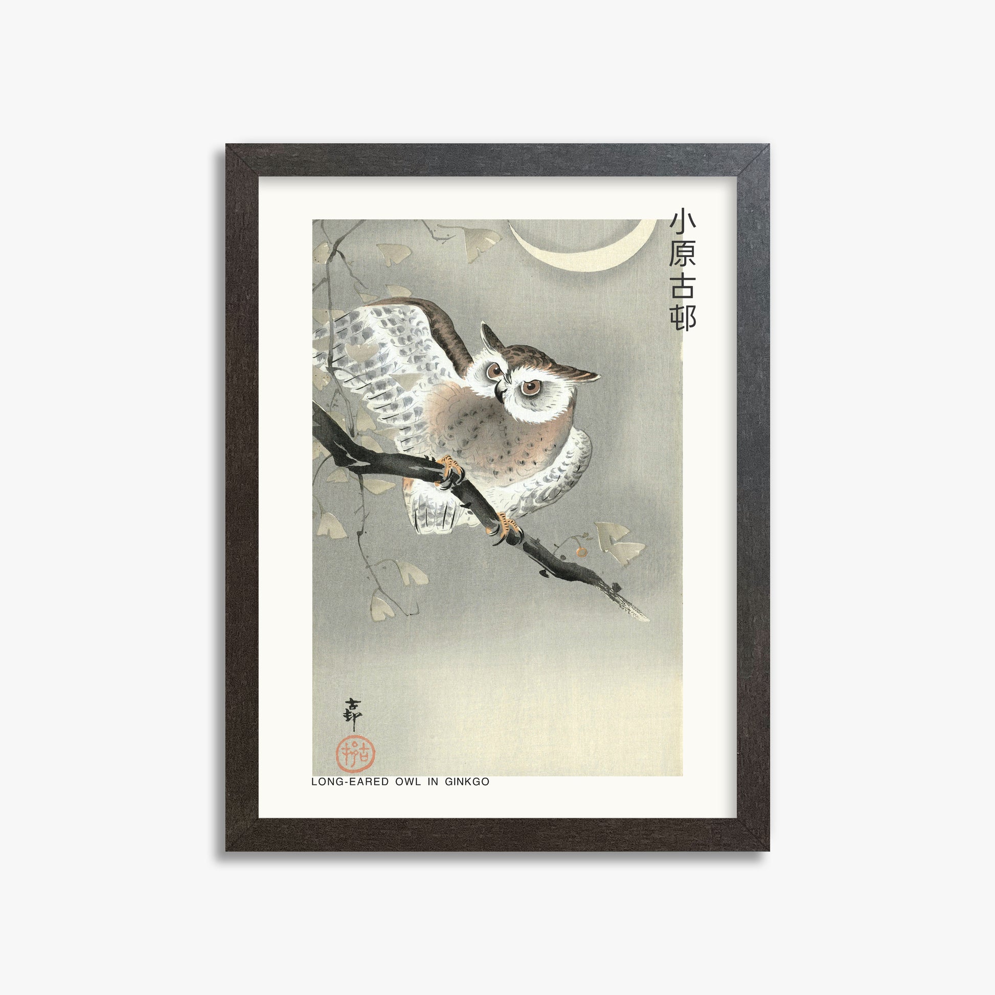 Ohara Koson: Long-eared owl in ginkgo - Japandi, 30x40cm Framed Art Reproduction With Espresso Frame