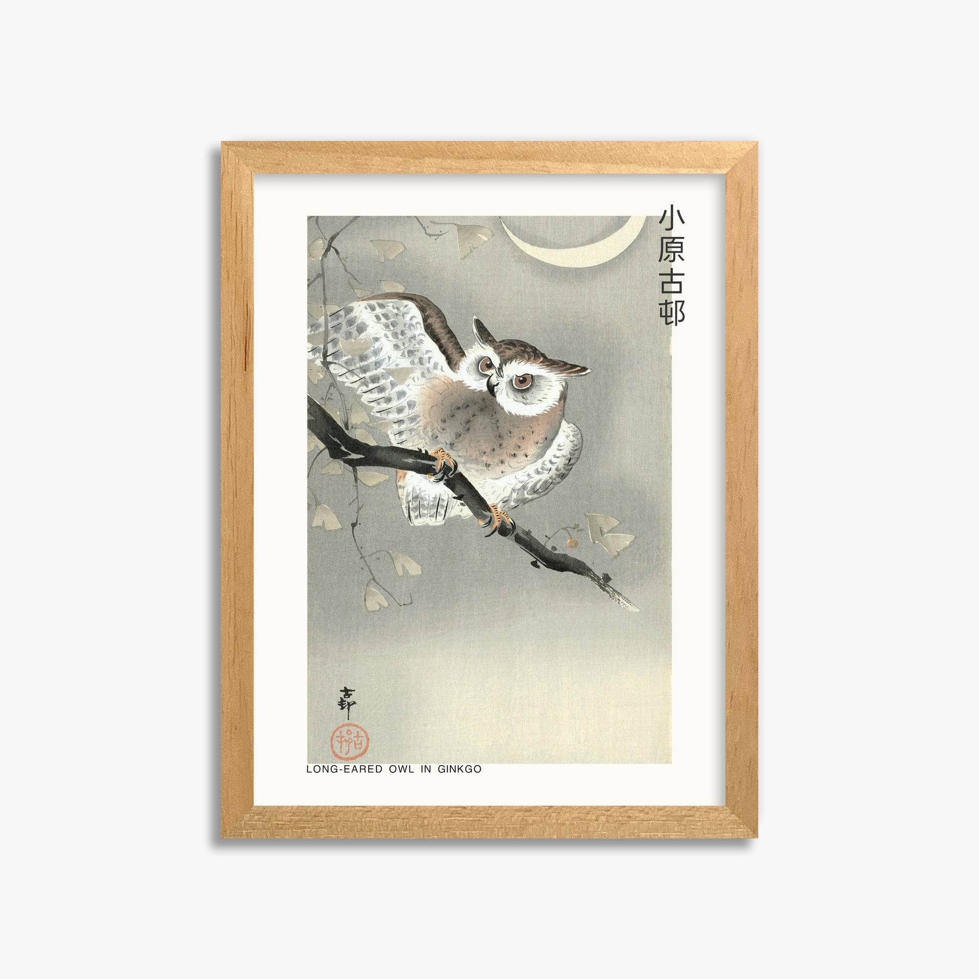 Ohara Koson: Long-eared owl in ginkgo - Japandi, 30x40cm Framed Art Reproduction With Oak Frame