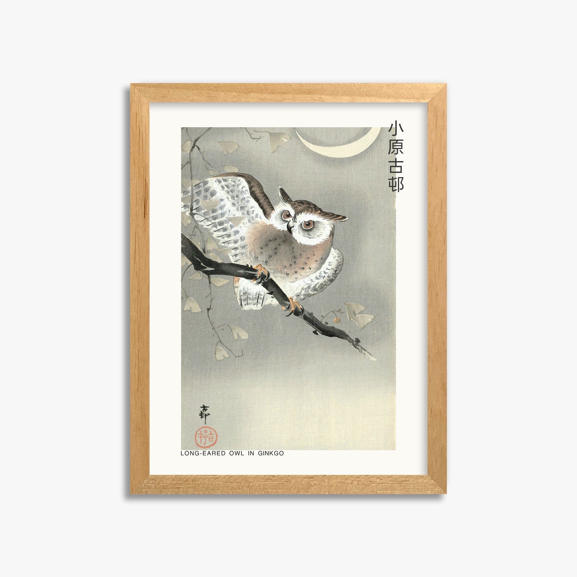 Ohara Koson: Long-eared owl in ginkgo - Japandi, 30x40cm Framed Art Reproduction With Oak Frame